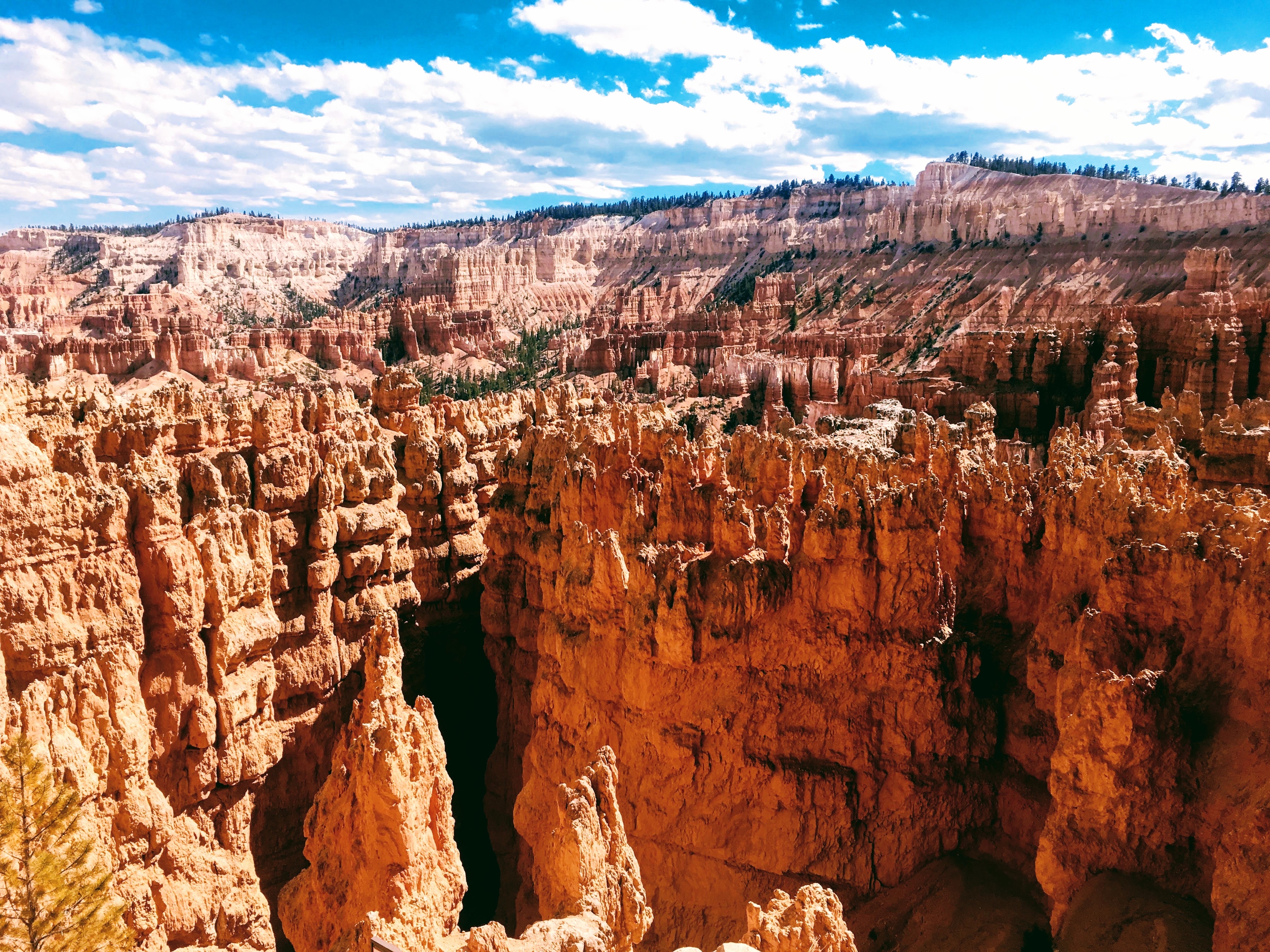Wall Street Loop in Bryce Canyon
