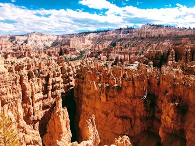 Wall Street Loop in Bryce Canyon