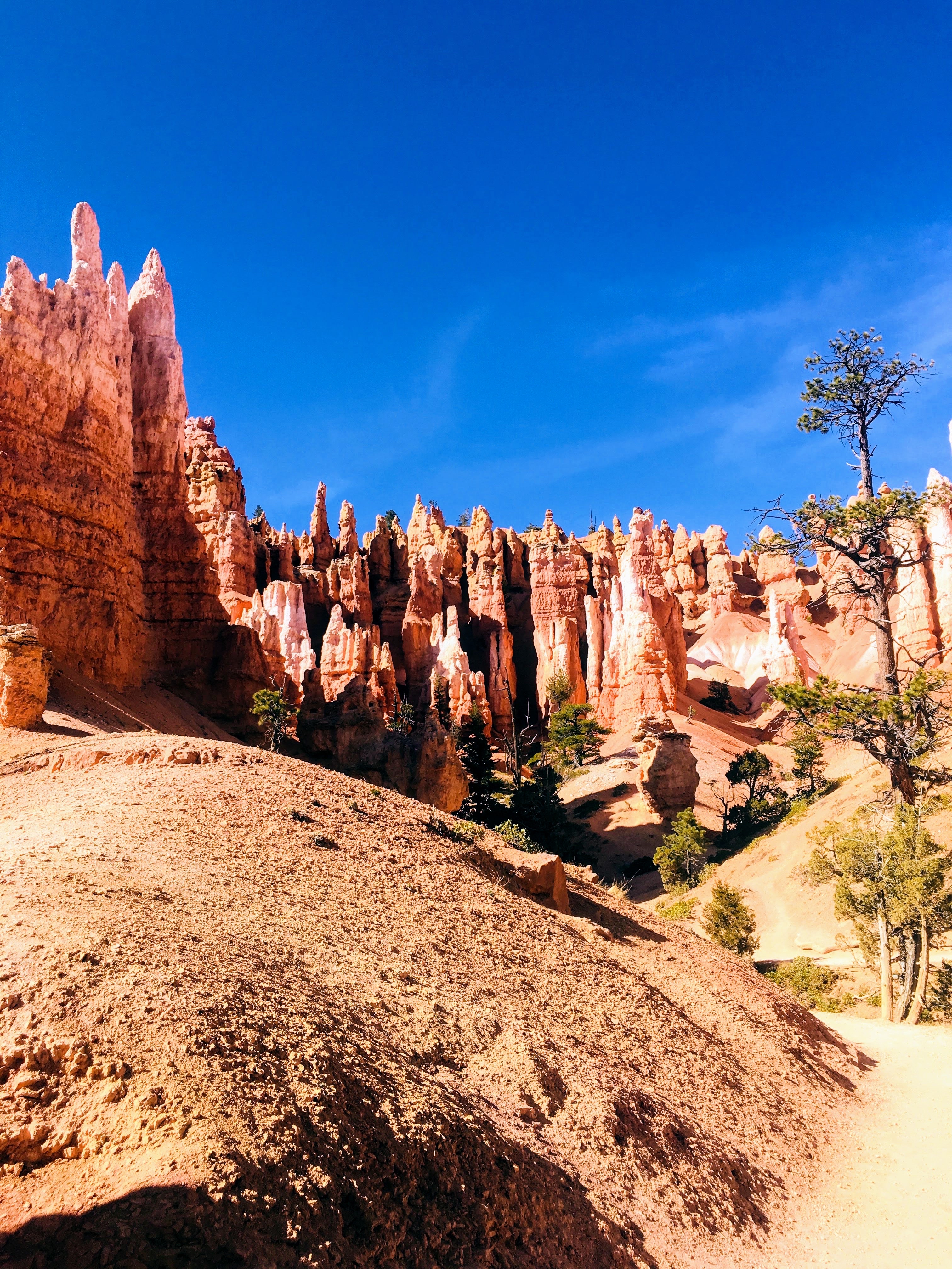 Wall Street Loop in Bryce Canyon