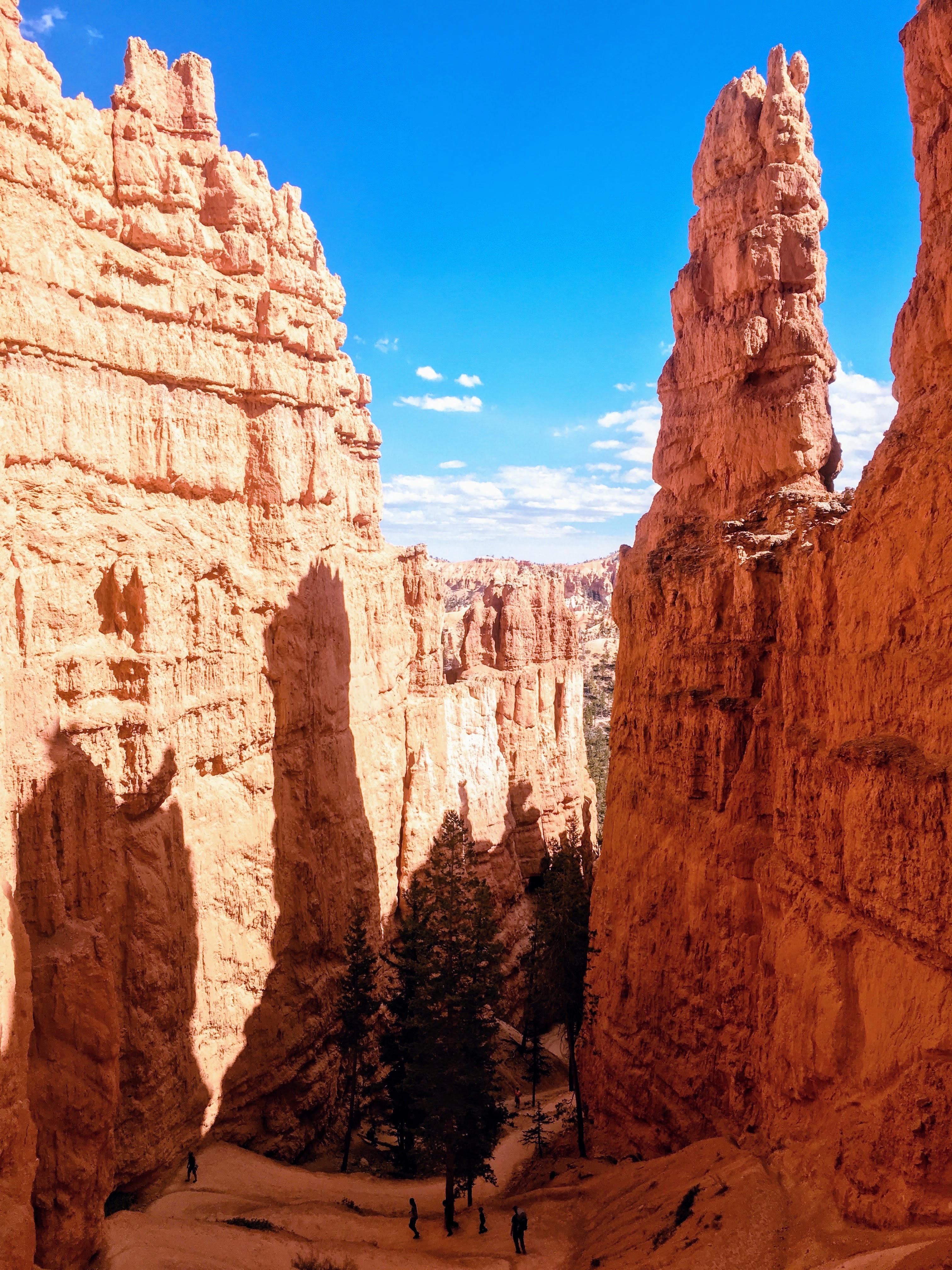 Wall Street Loop in Bryce Canyon
