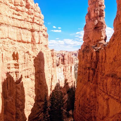 Wall Street Loop in Bryce Canyon