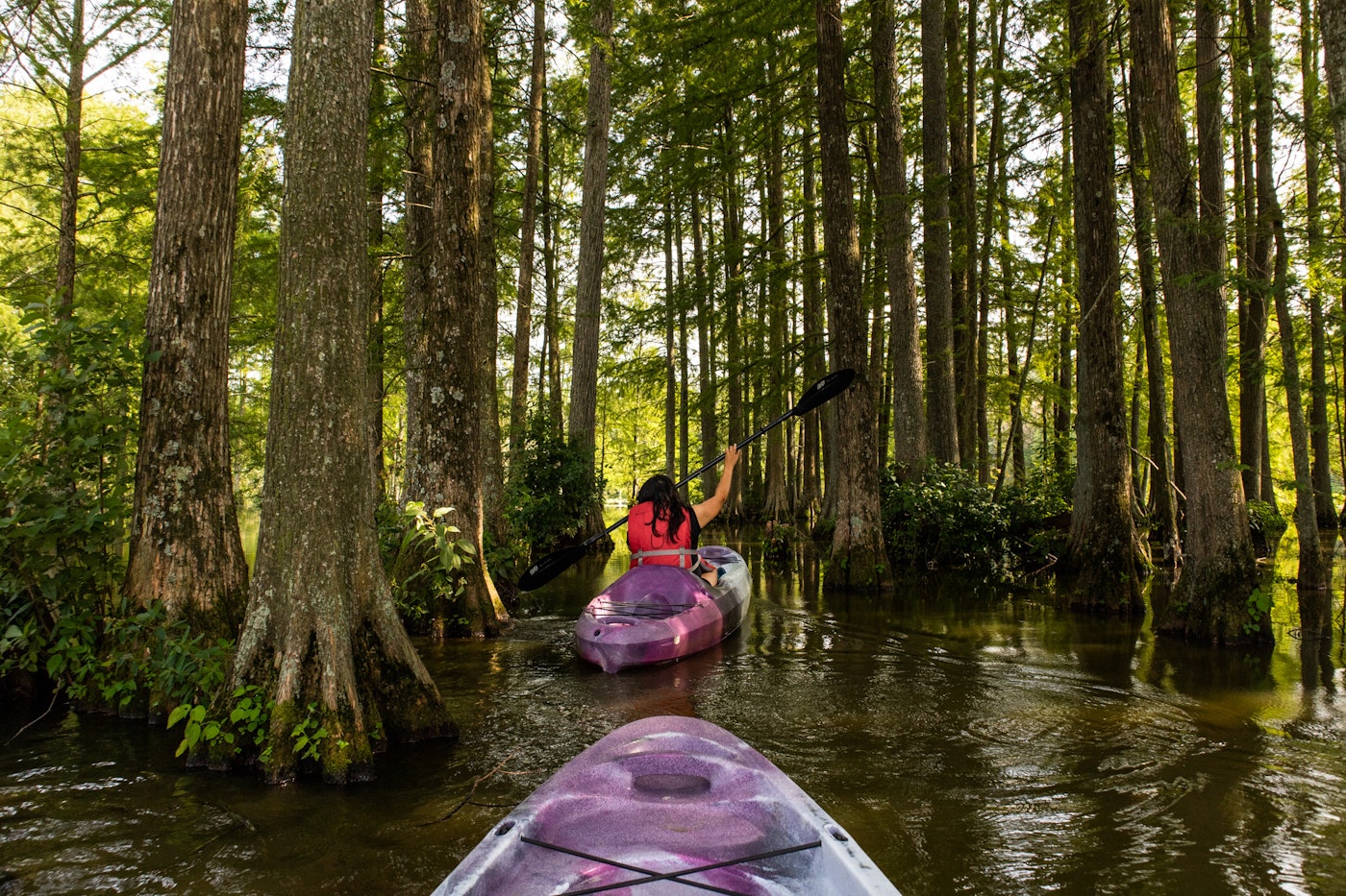 Photo of Kayak Trap Pond's Terrapin Branch Water Trail