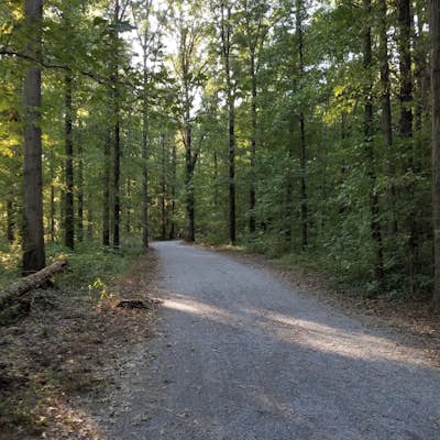 Bike or Run the Greenway Trail