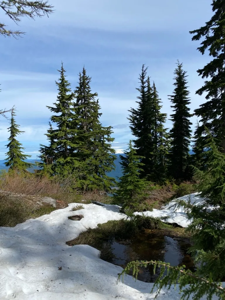 Mount Pilchuck Lookout