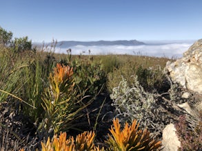 A Hike in the Highlands...of South Africa