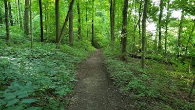 Hike the Adirondack Trail at Hills & Dales MetroPark