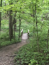 Hike through Maple Woods Natural Area