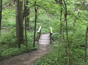 Hike through Maple Woods Natural Area