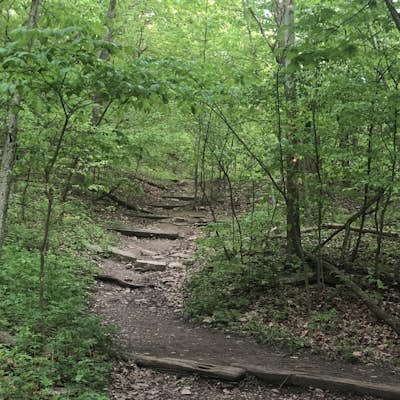 Hike through Maple Woods Natural Area