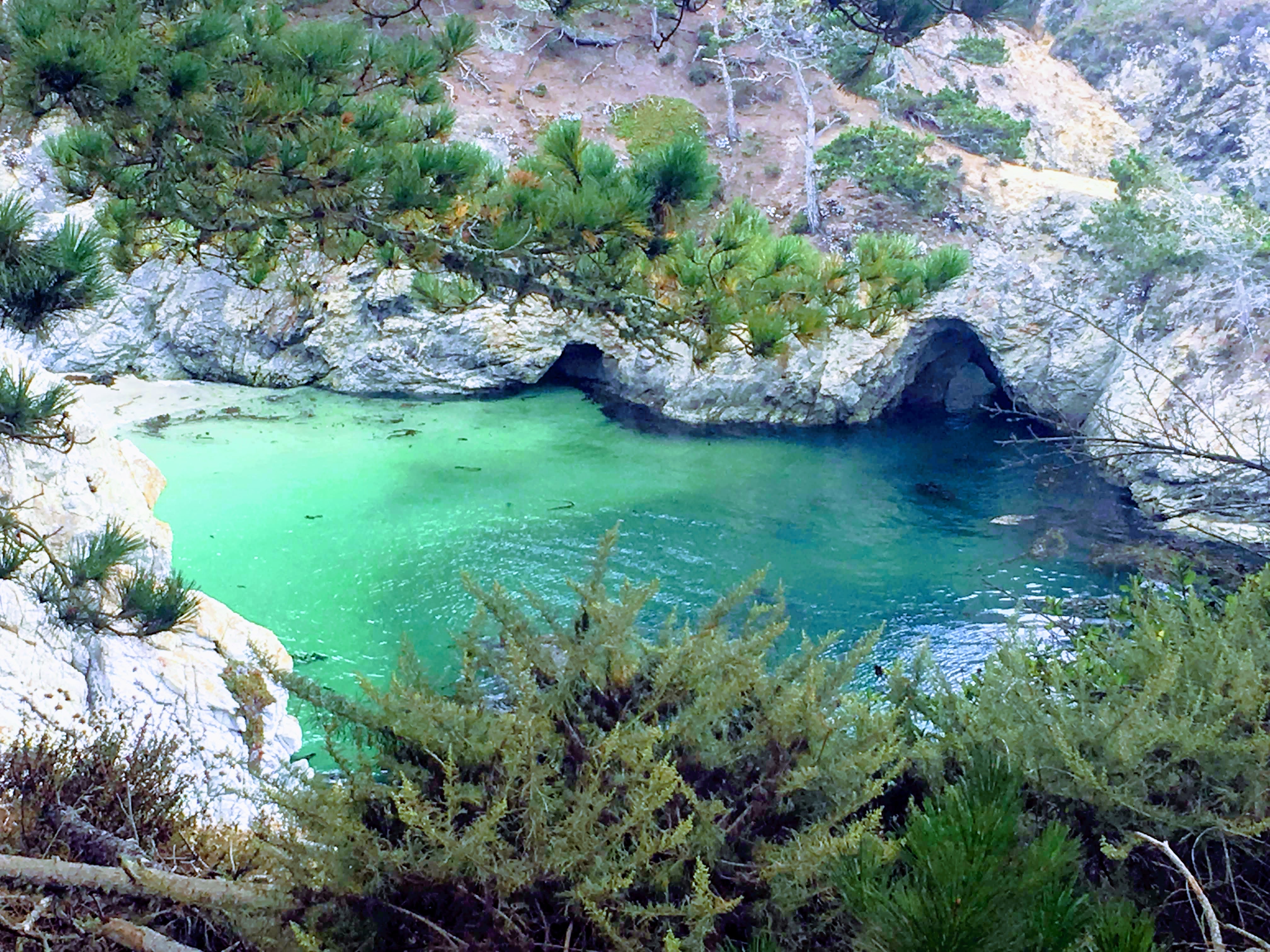 Point Lobos Natural Preserve Loop