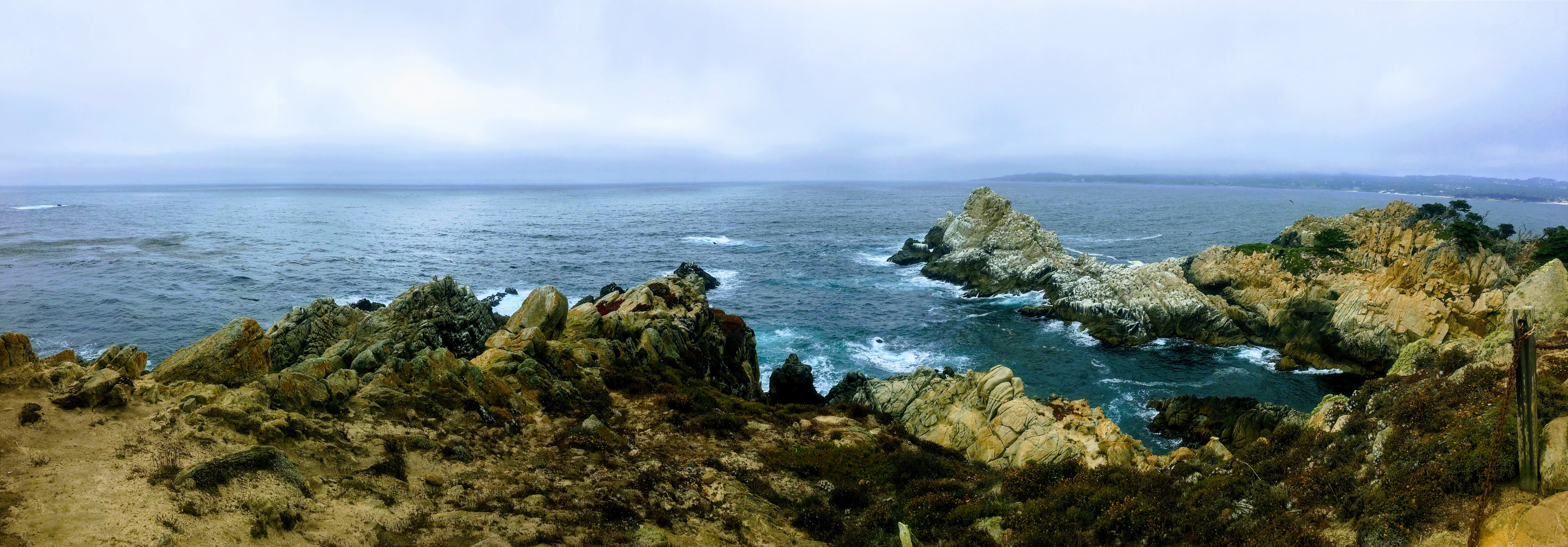 Point Lobos Natural Preserve Loop