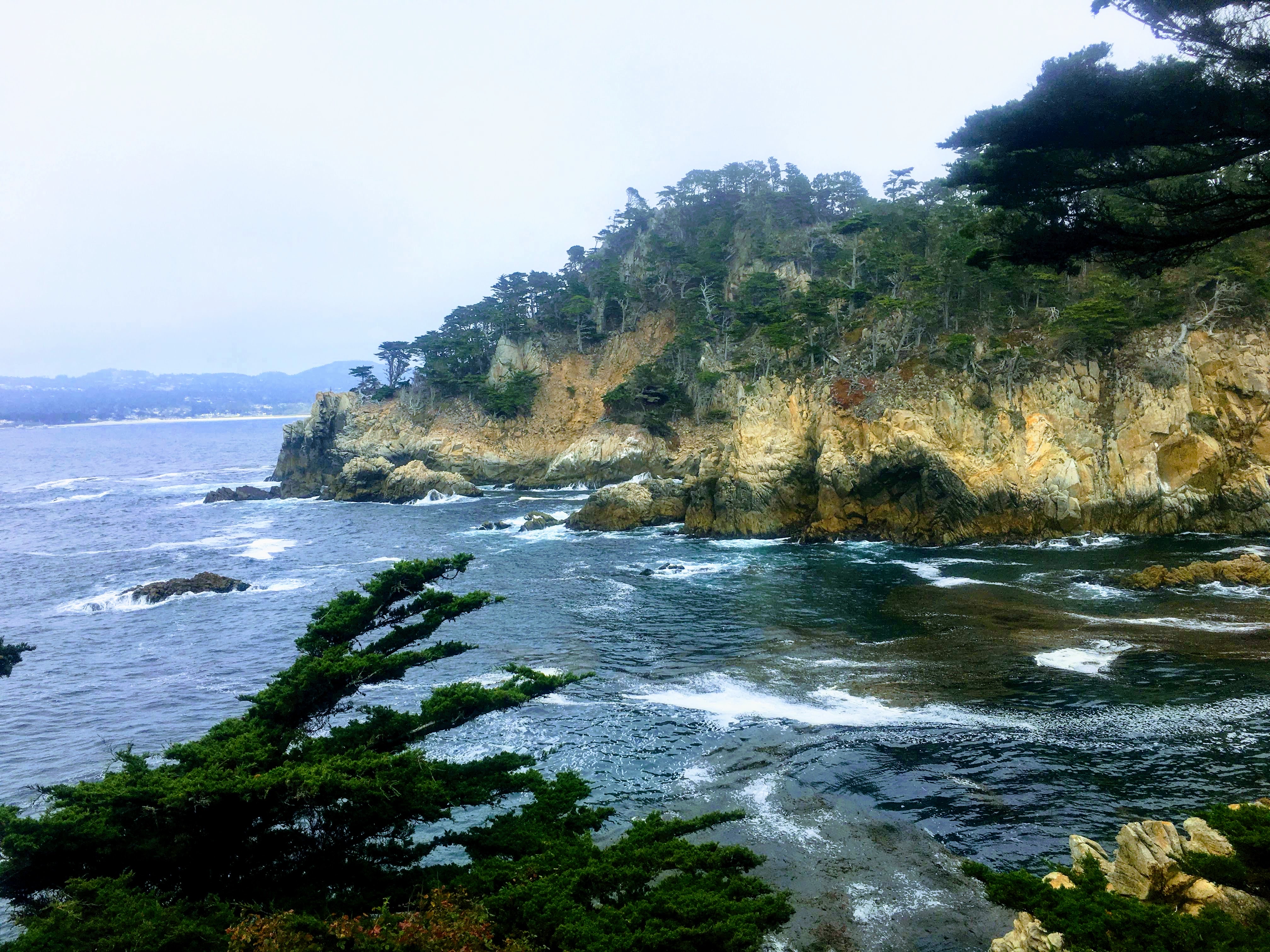 Point Lobos Natural Preserve Loop