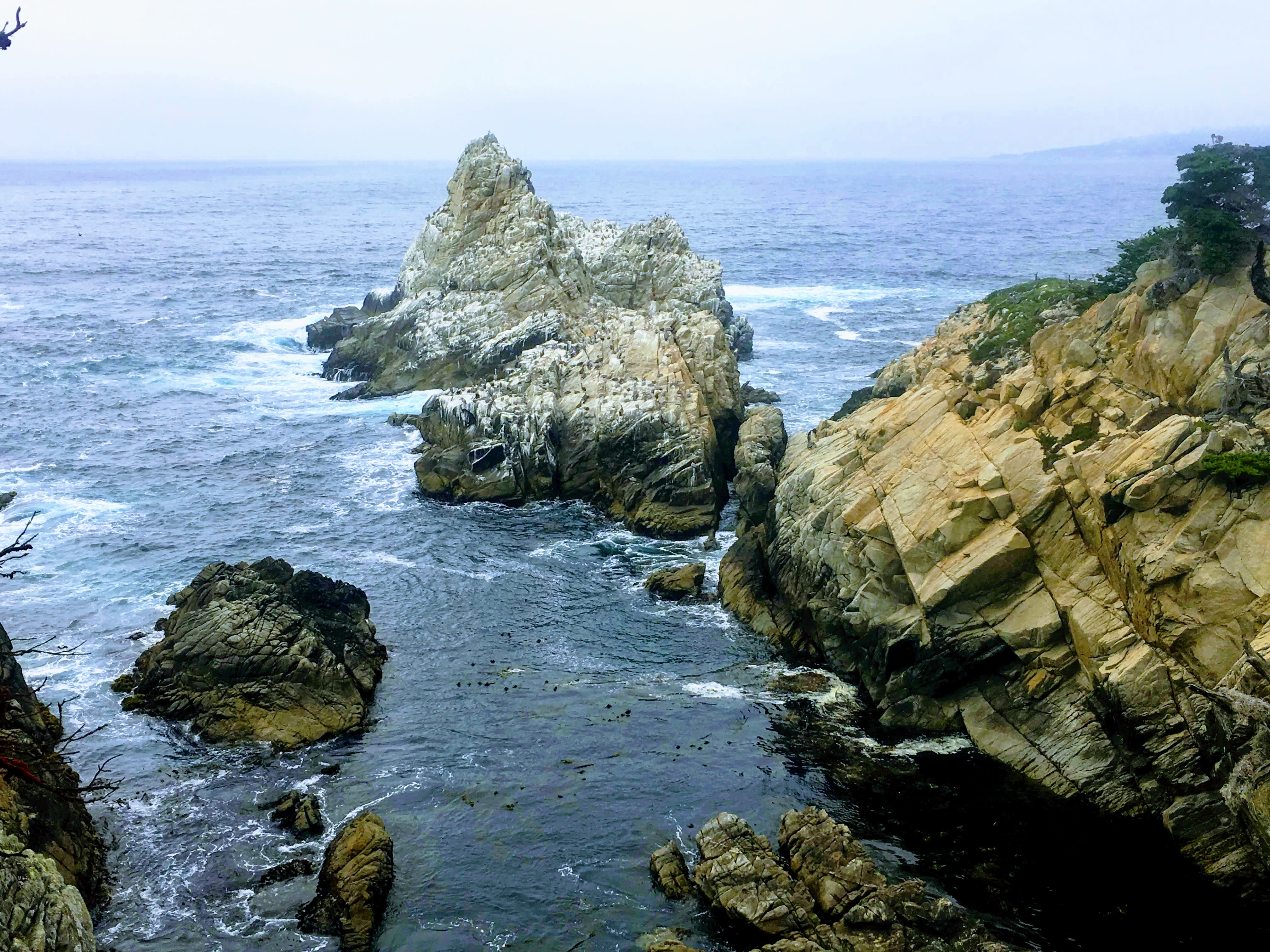 Point Lobos Natural Preserve Loop