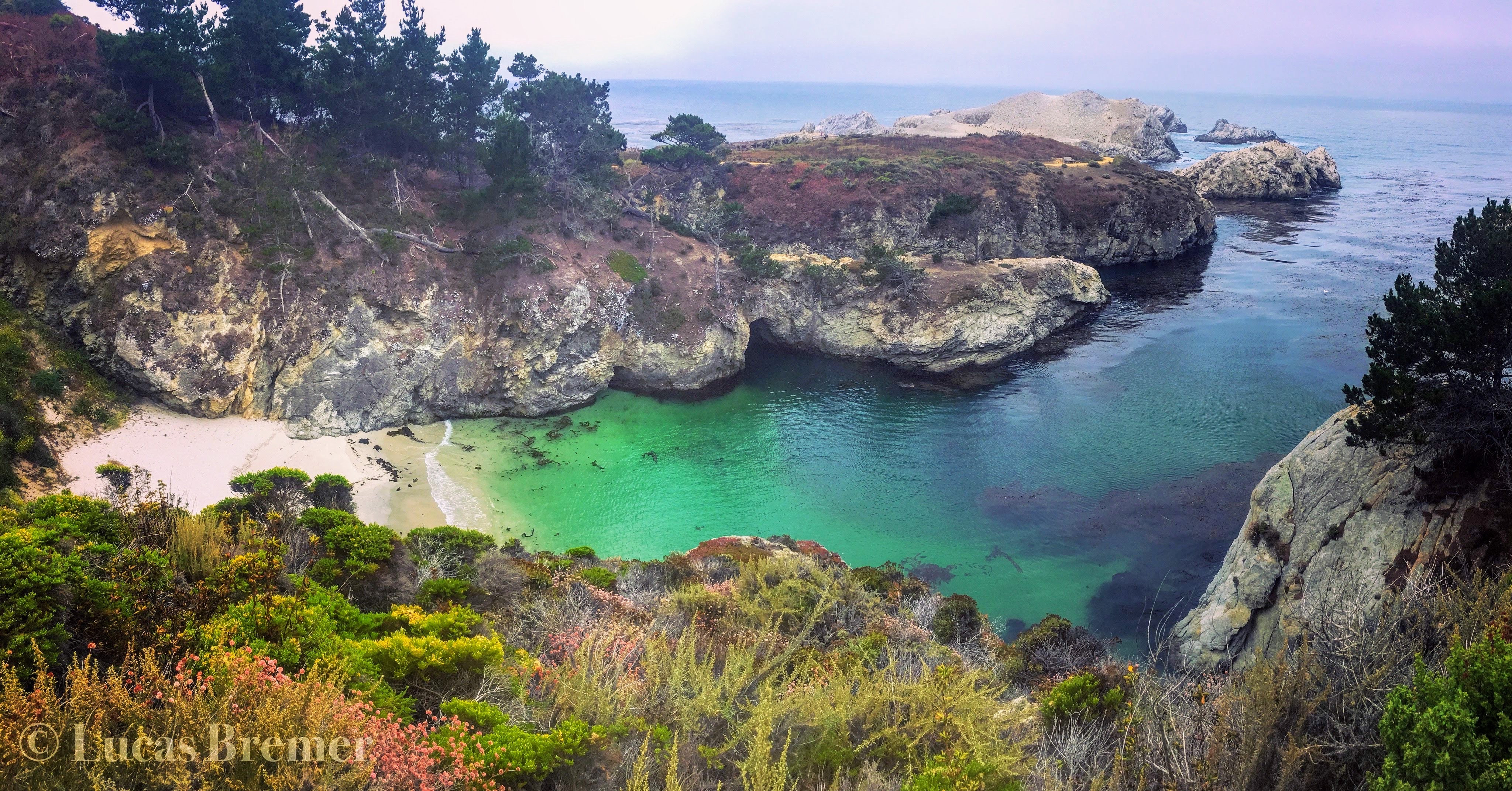 Point Lobos Natural Preserve Loop