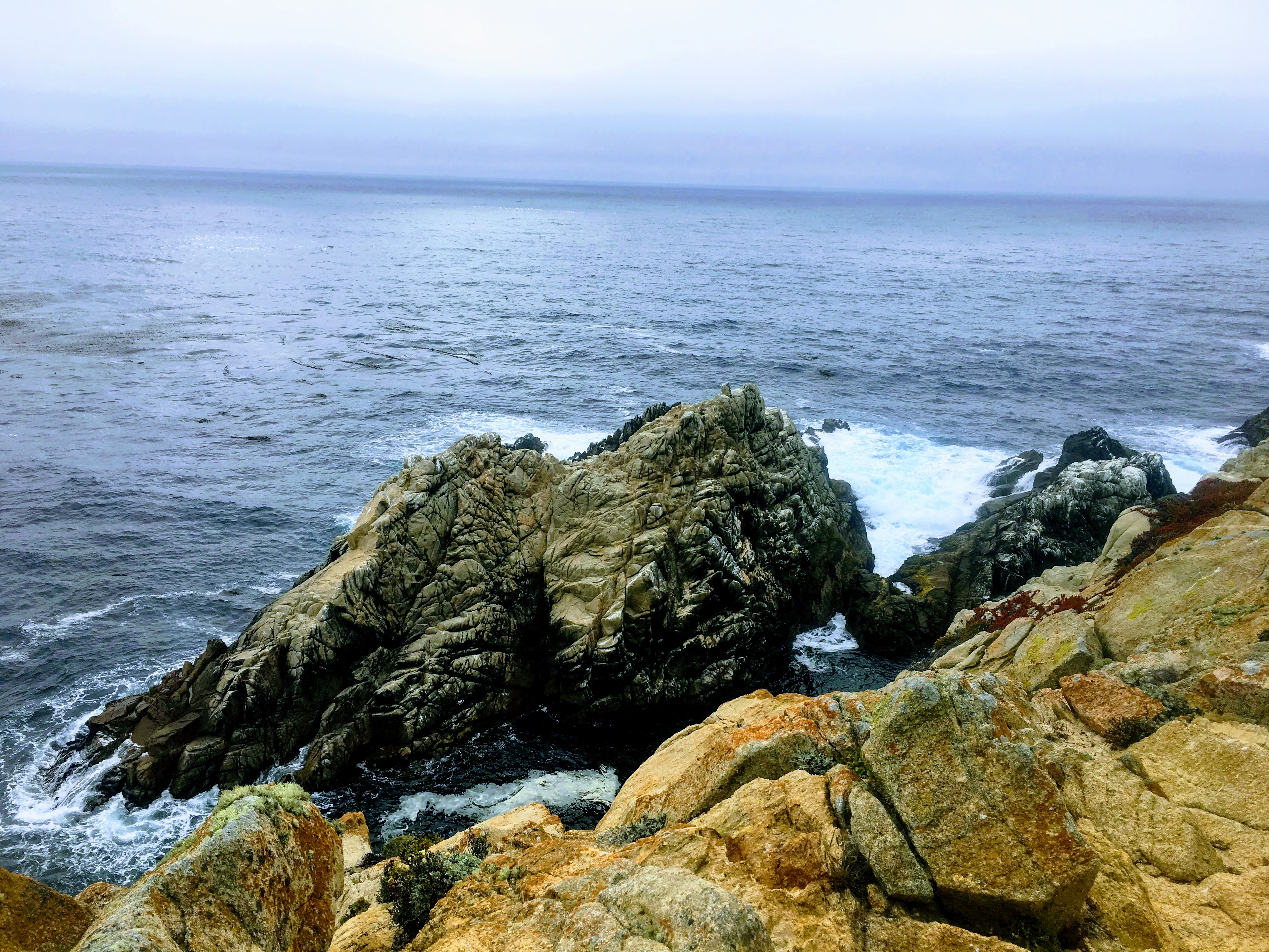Point Lobos Natural Preserve Loop