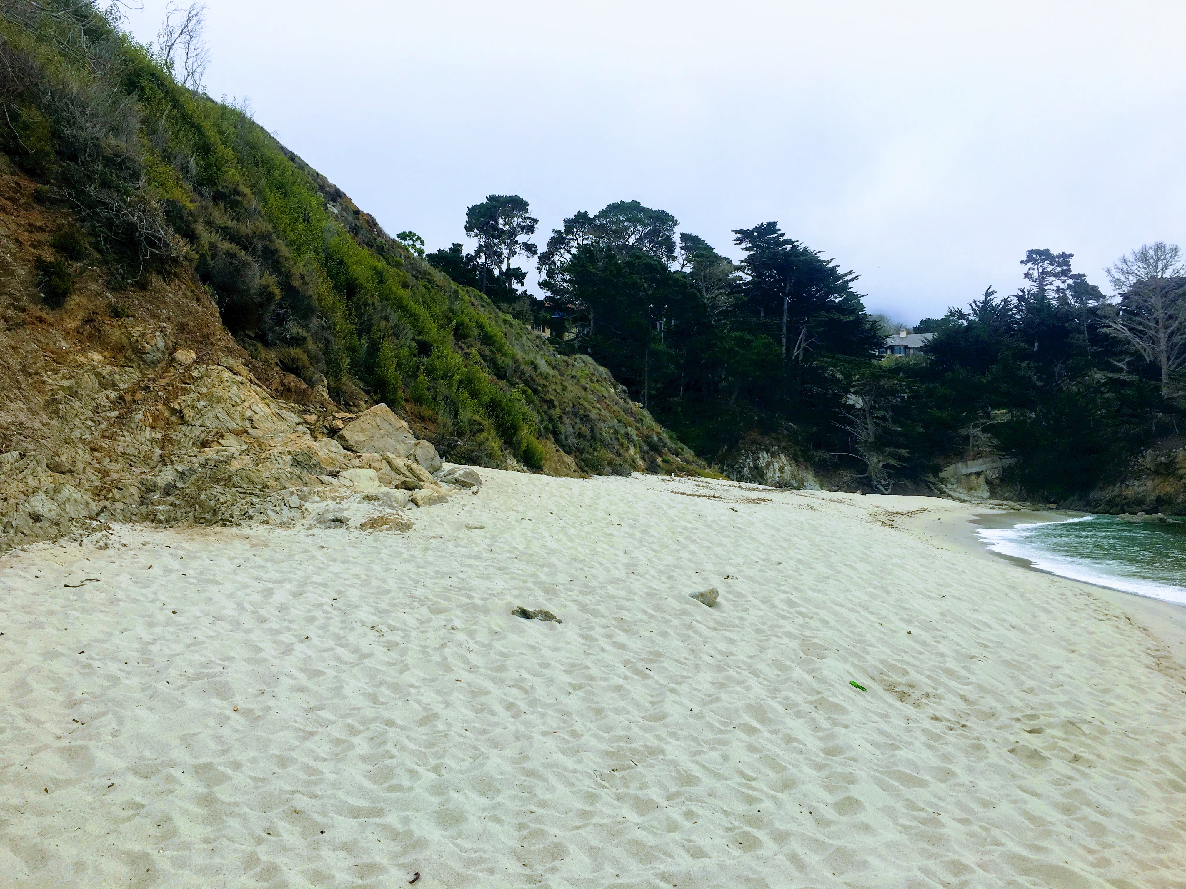 Point Lobos Natural Preserve Loop