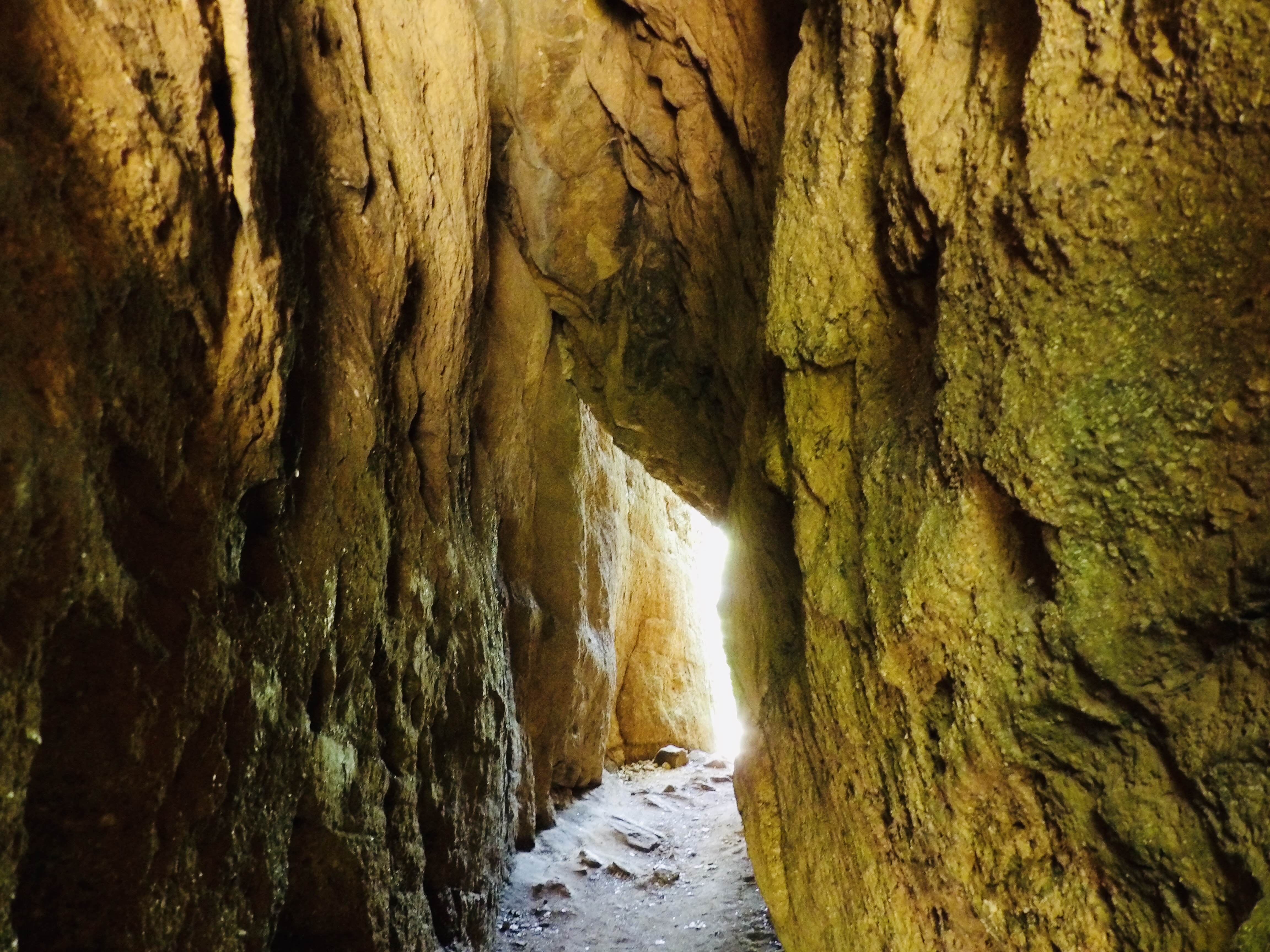 Penitentiary Hollow via Red Waterfront Trail