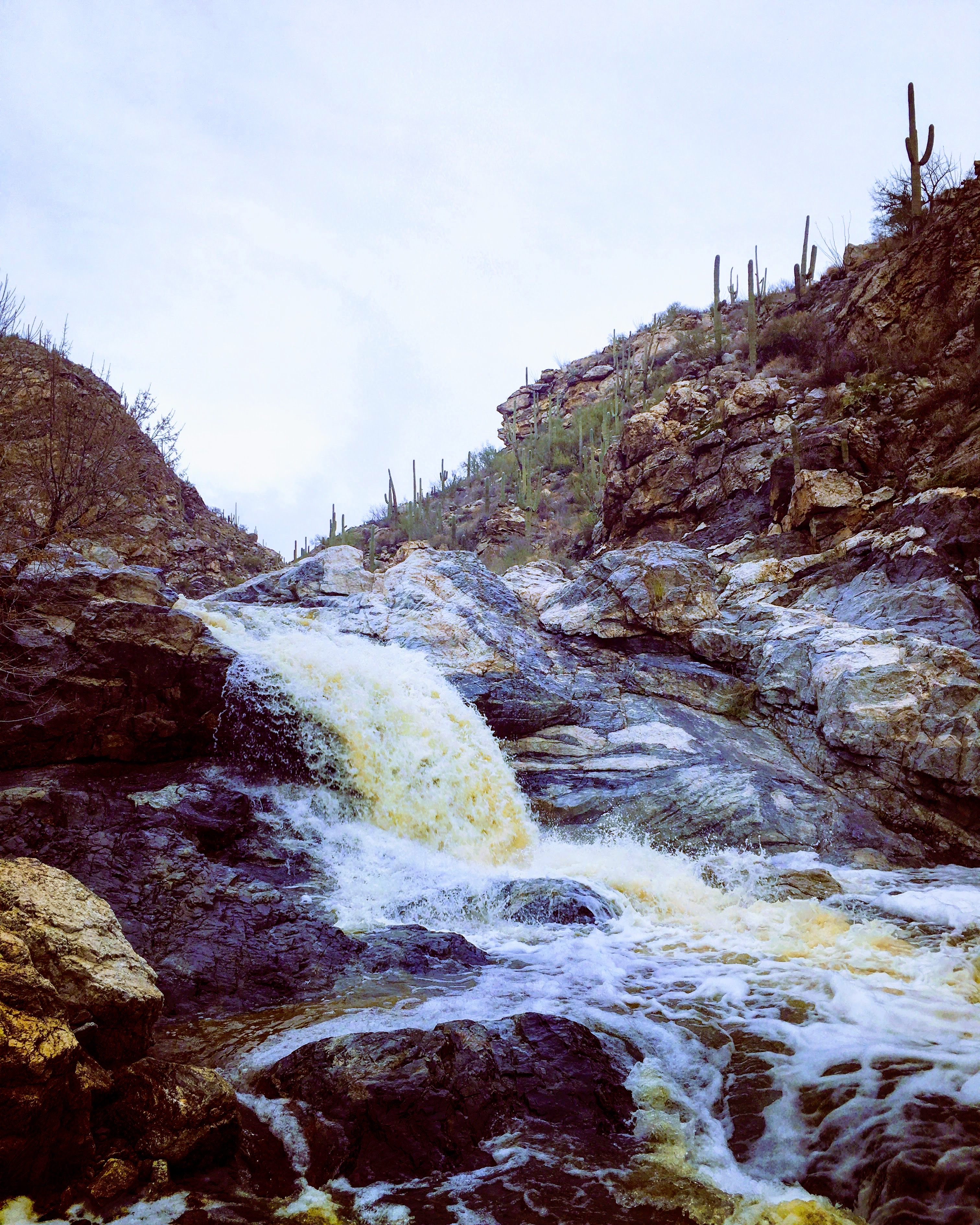 Tanque Verde Falls
