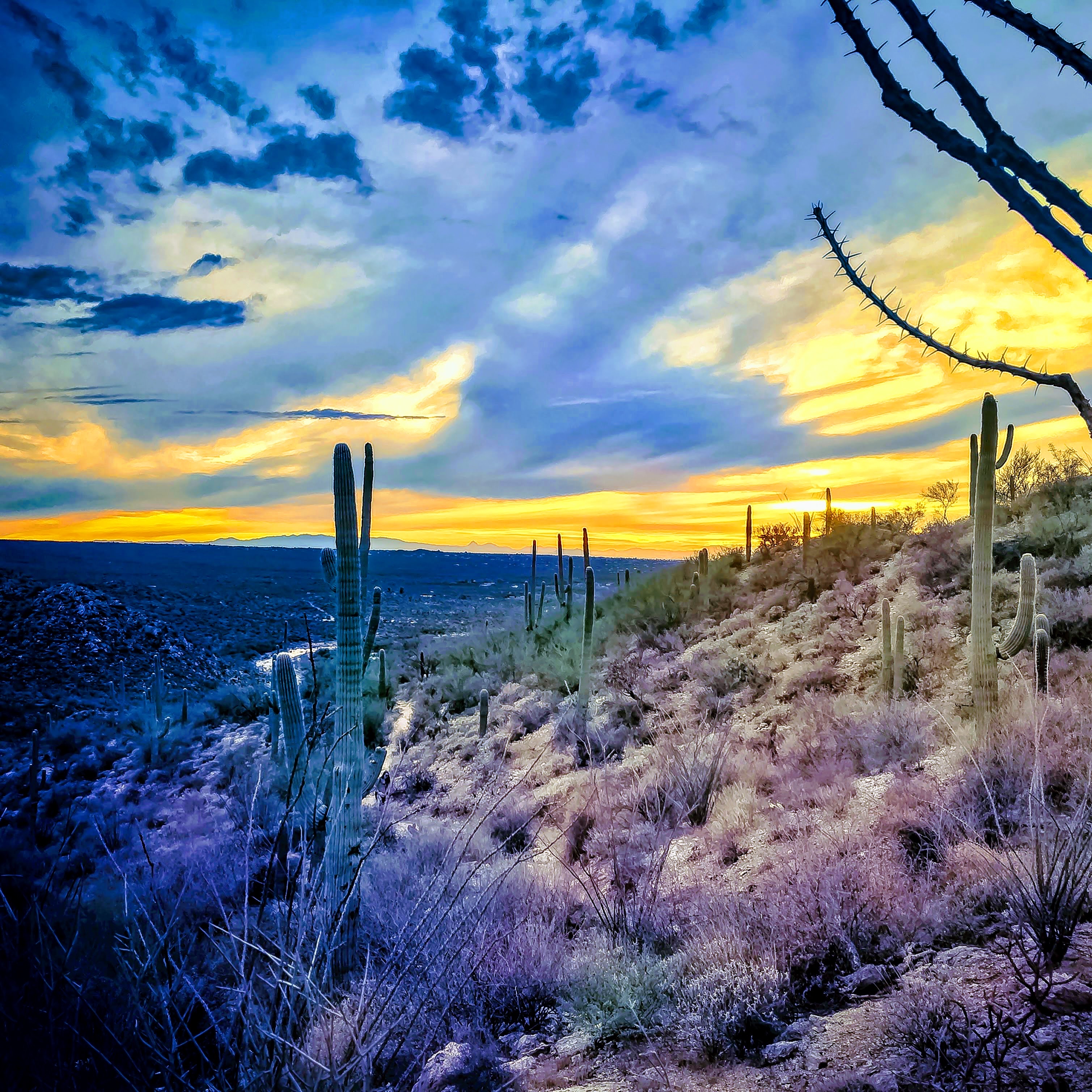 Tanque Verde Falls