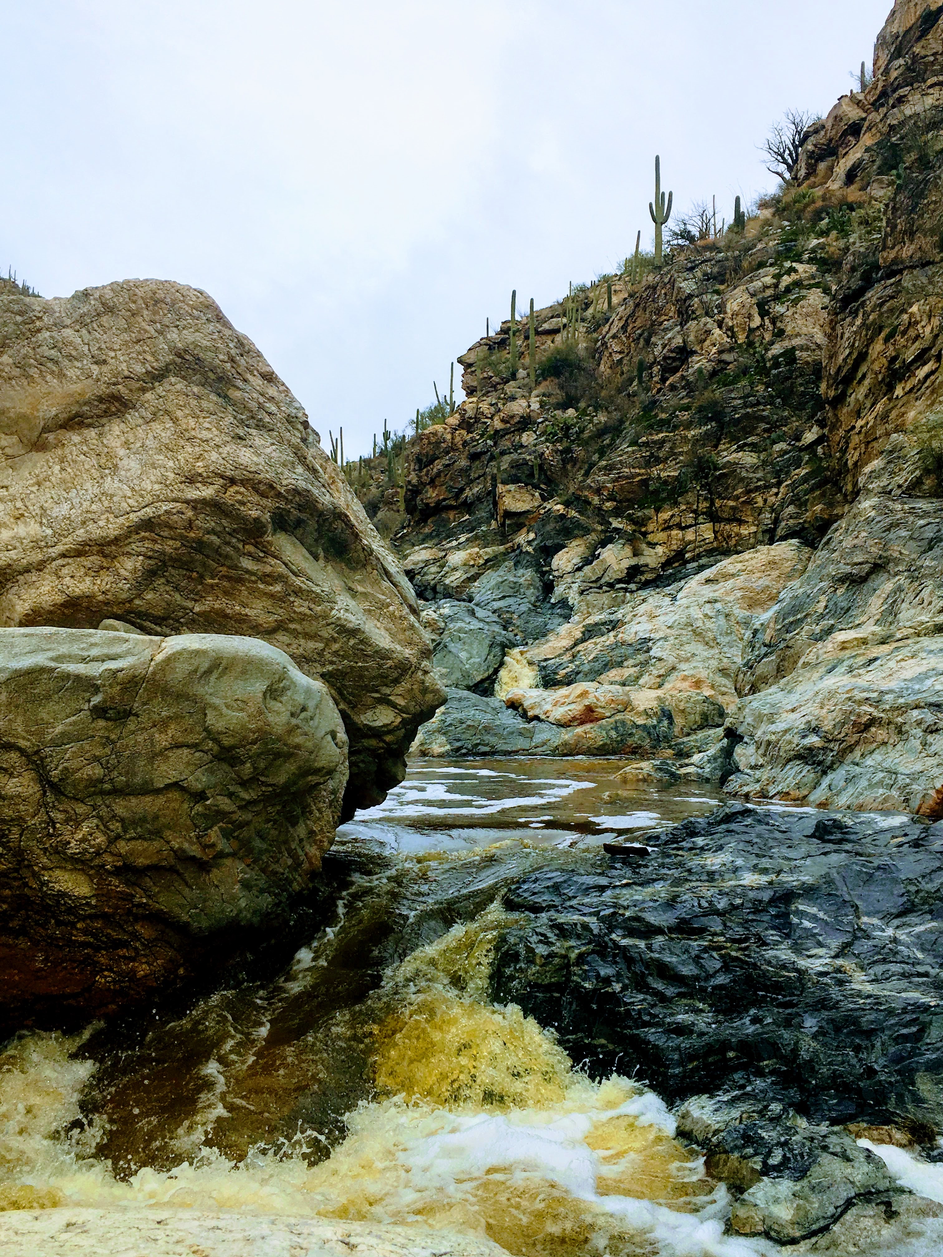 Tanque Verde Falls