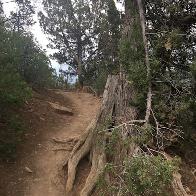 Hike the Animas Mountain Trail 