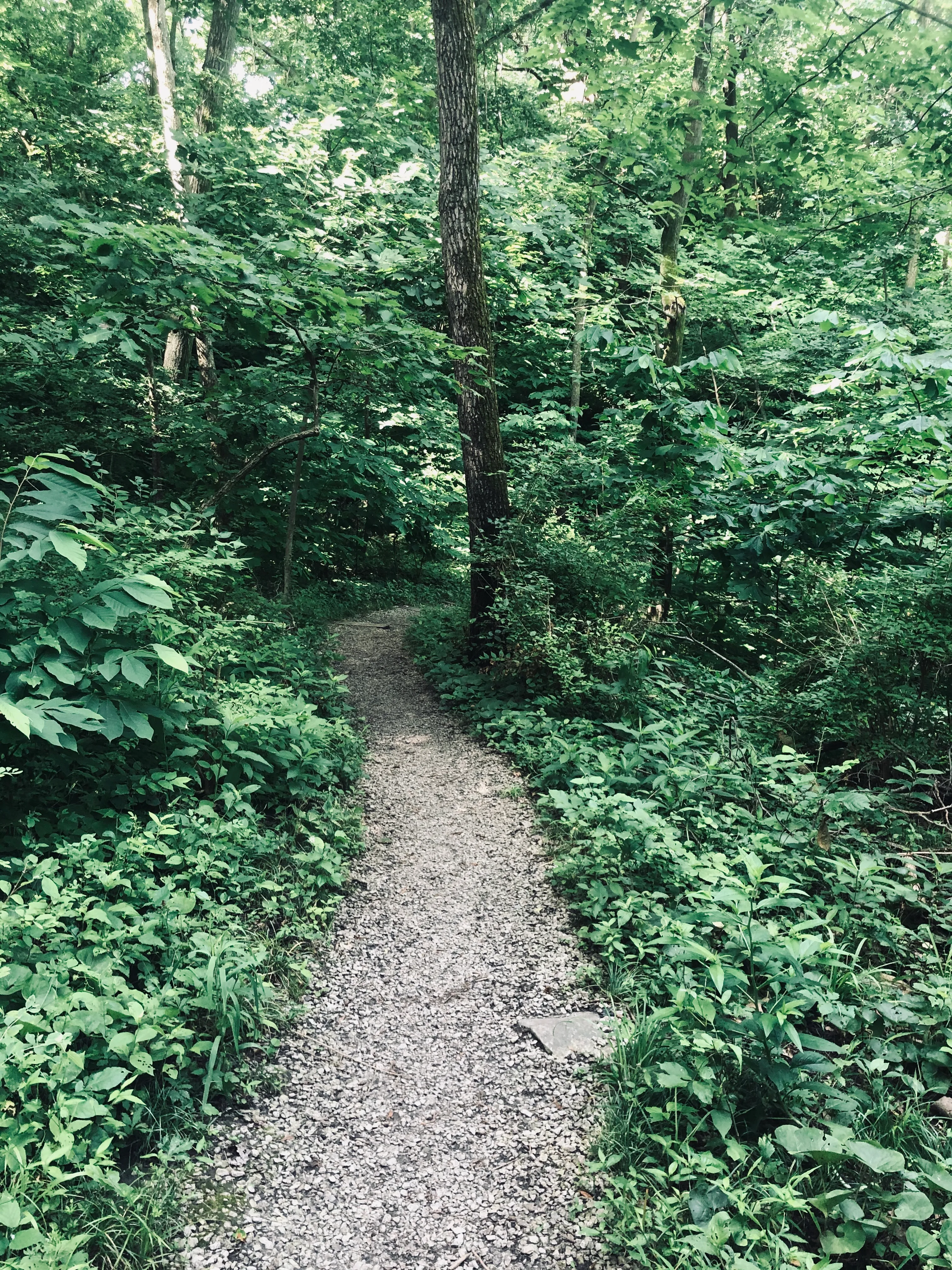 Hike Parkville Nature Sanctuary