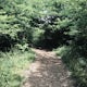 Hike through Amity Woods Nature Park