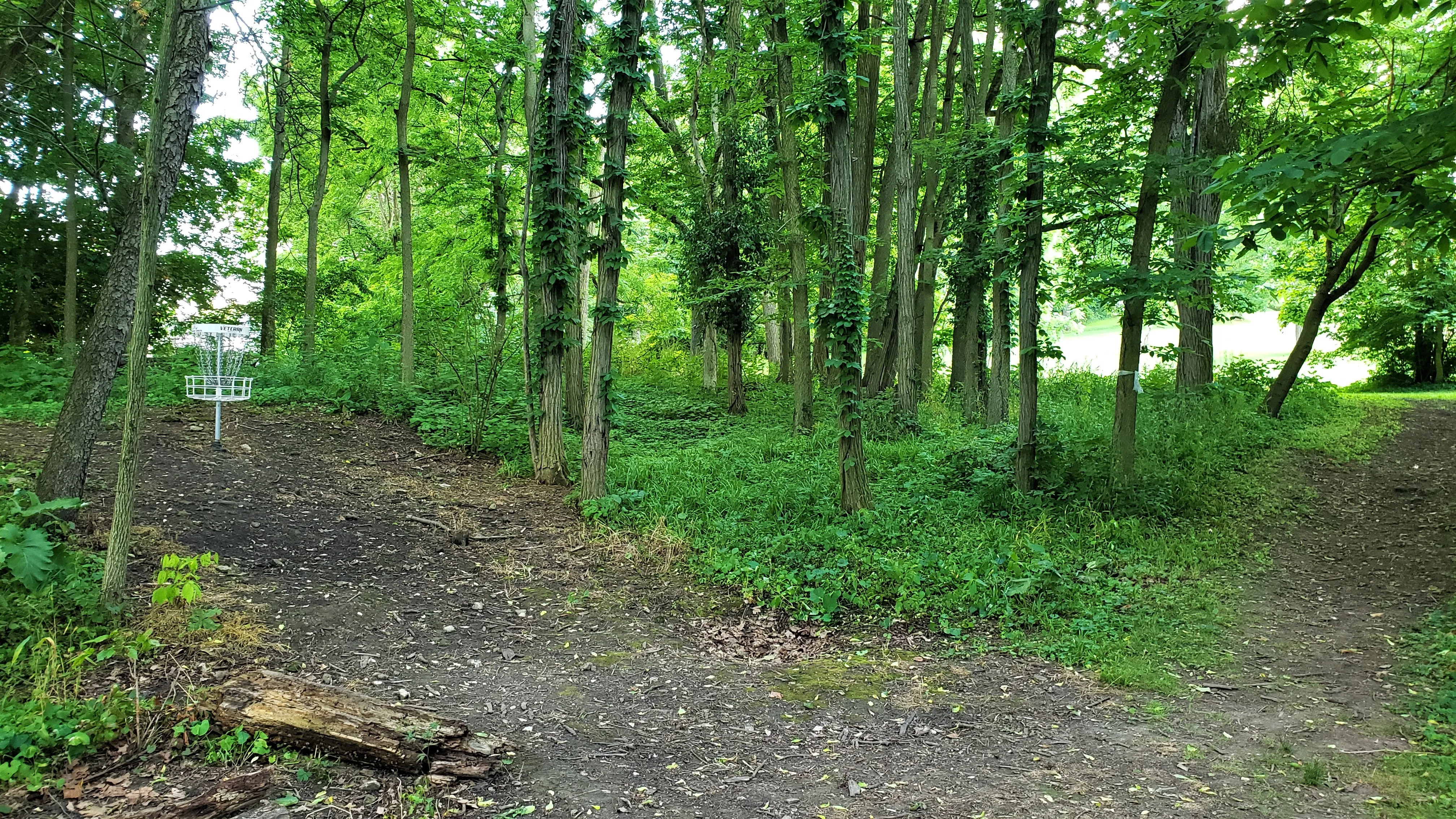 Disc Golf at Snyder Park