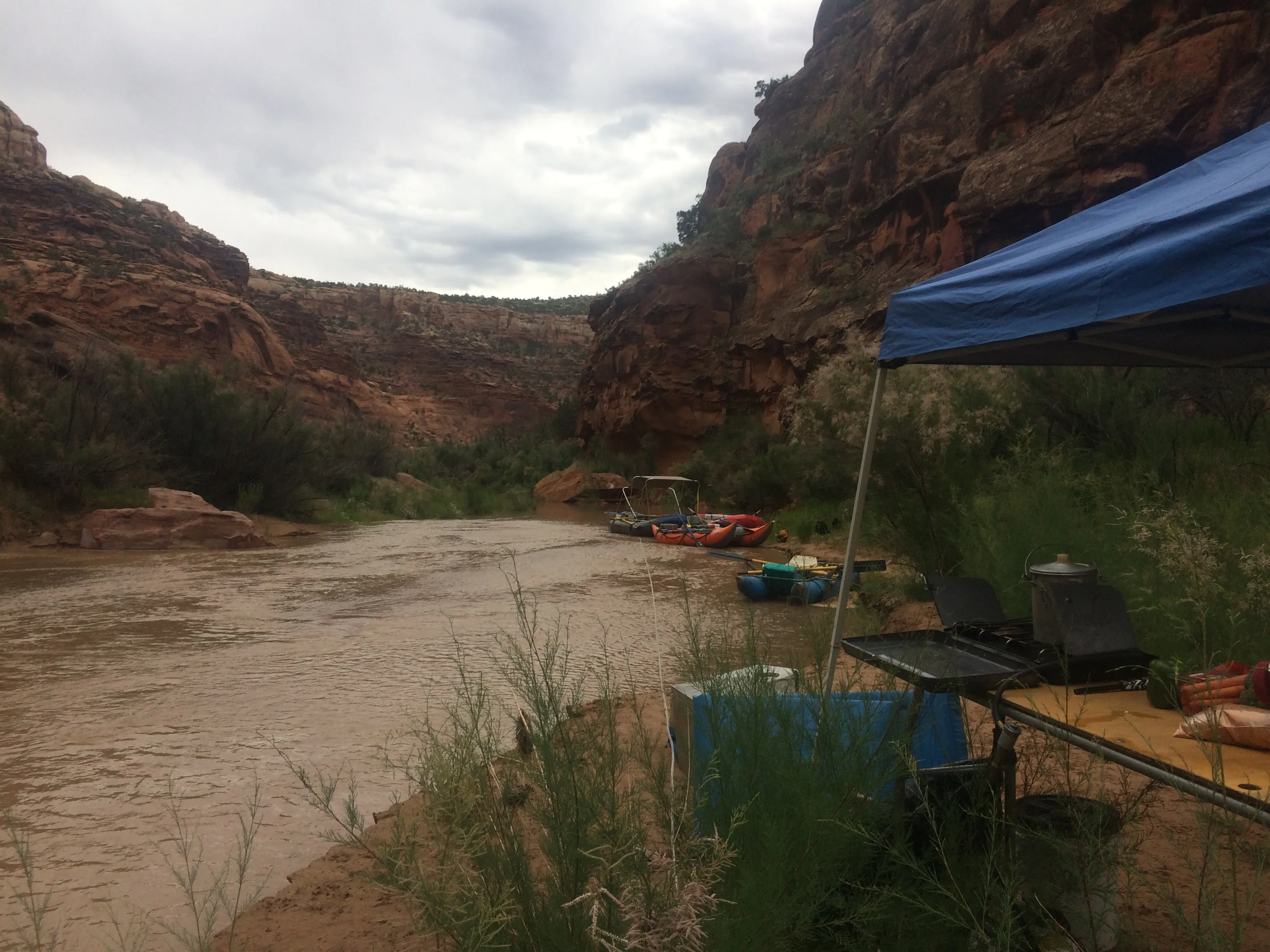 Raft the Dolores River