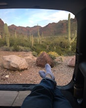 Camp at the Alamo Canyon Campground