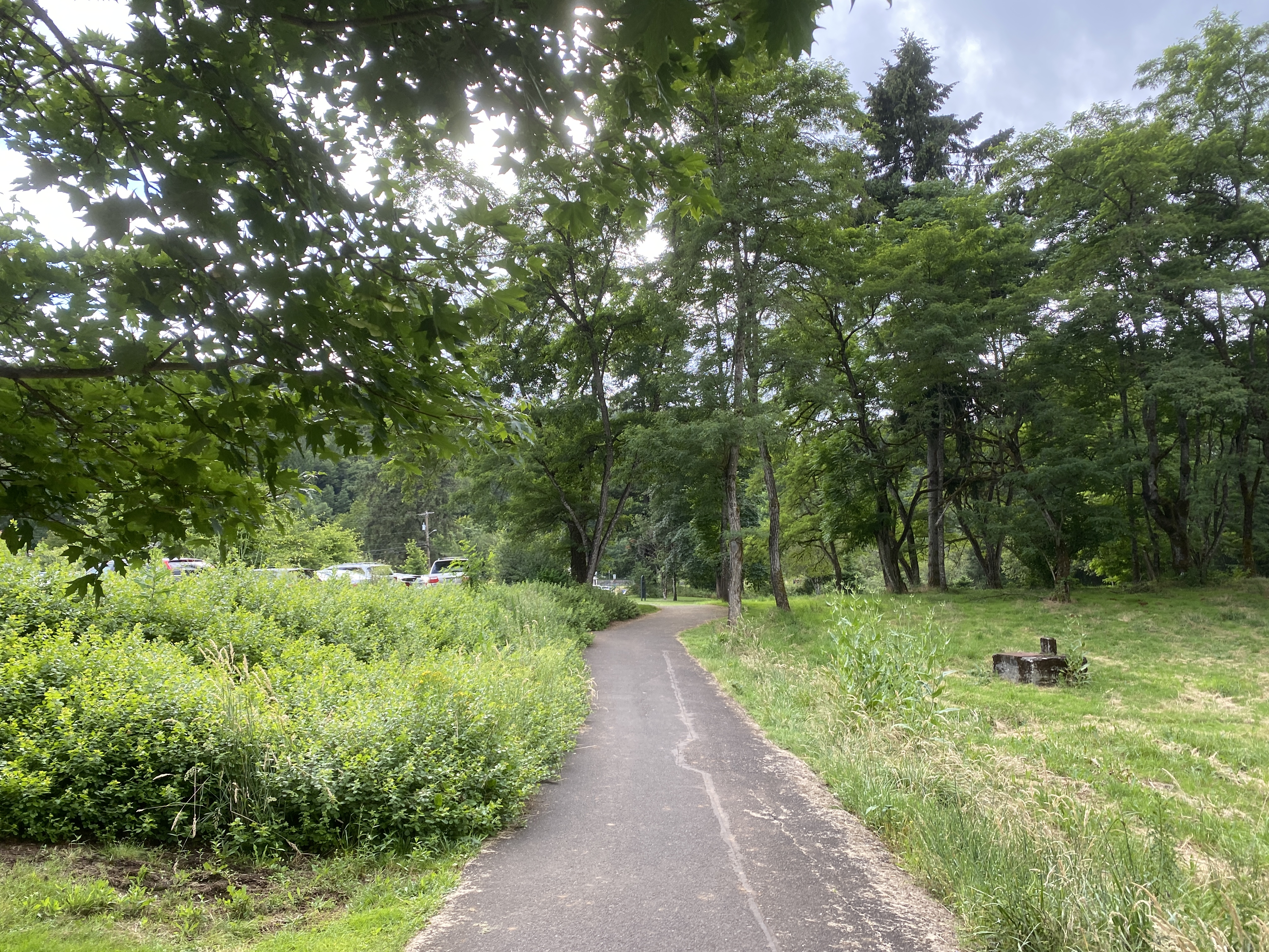 Hike Lacamas Heritage Trail