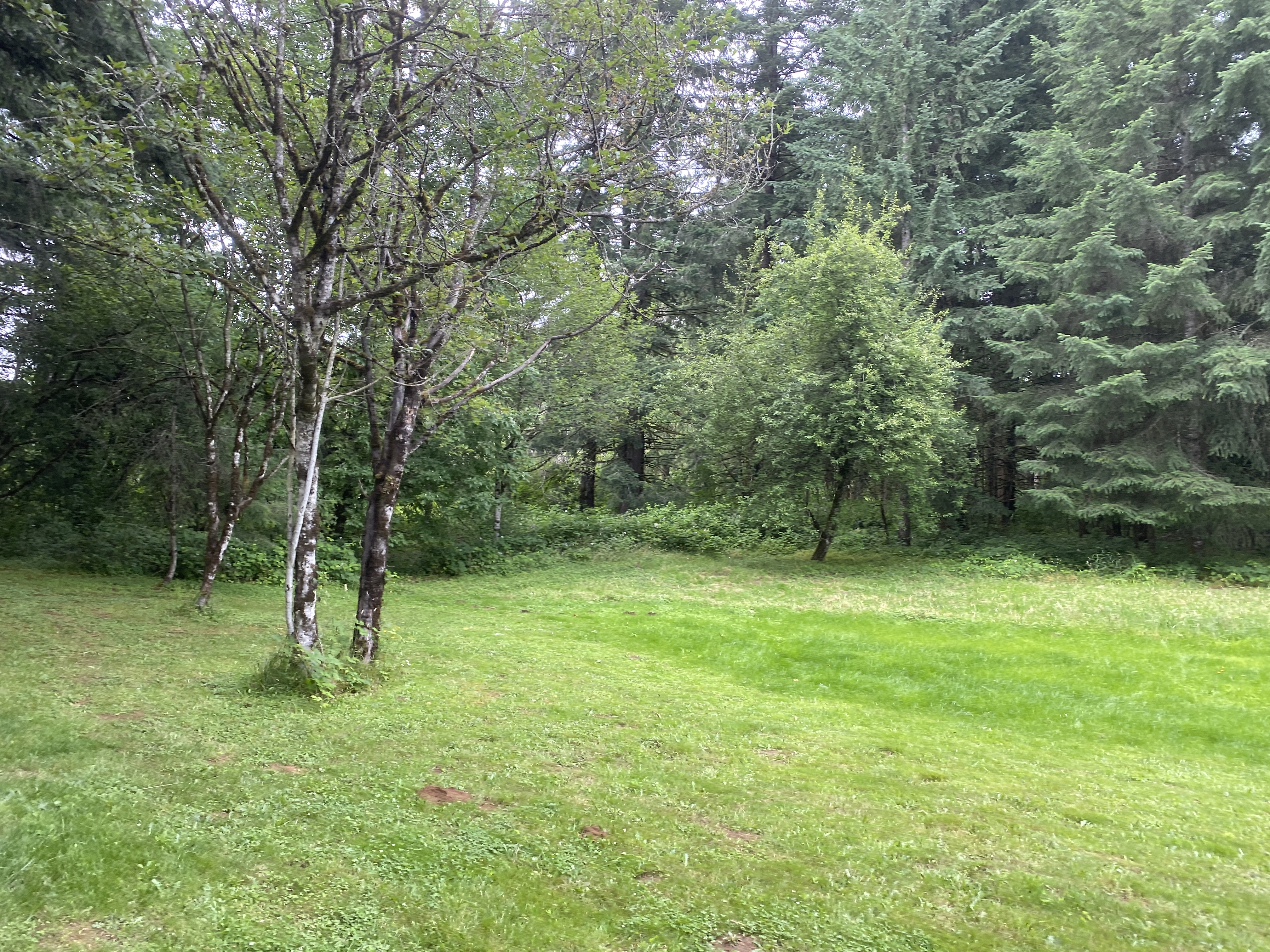 Hike Lacamas Heritage Trail