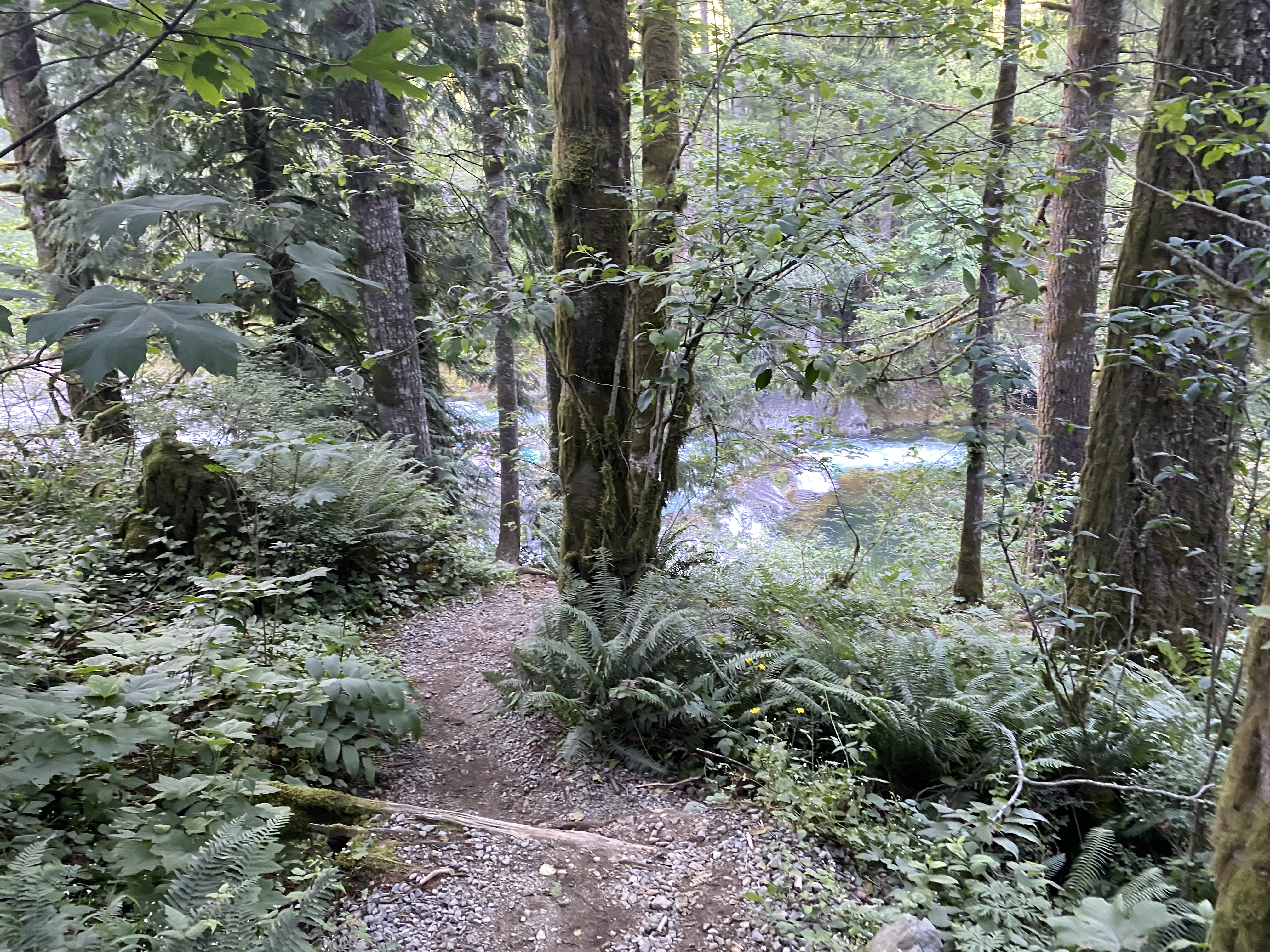Photos: Naked Falls, Washougal, Washington