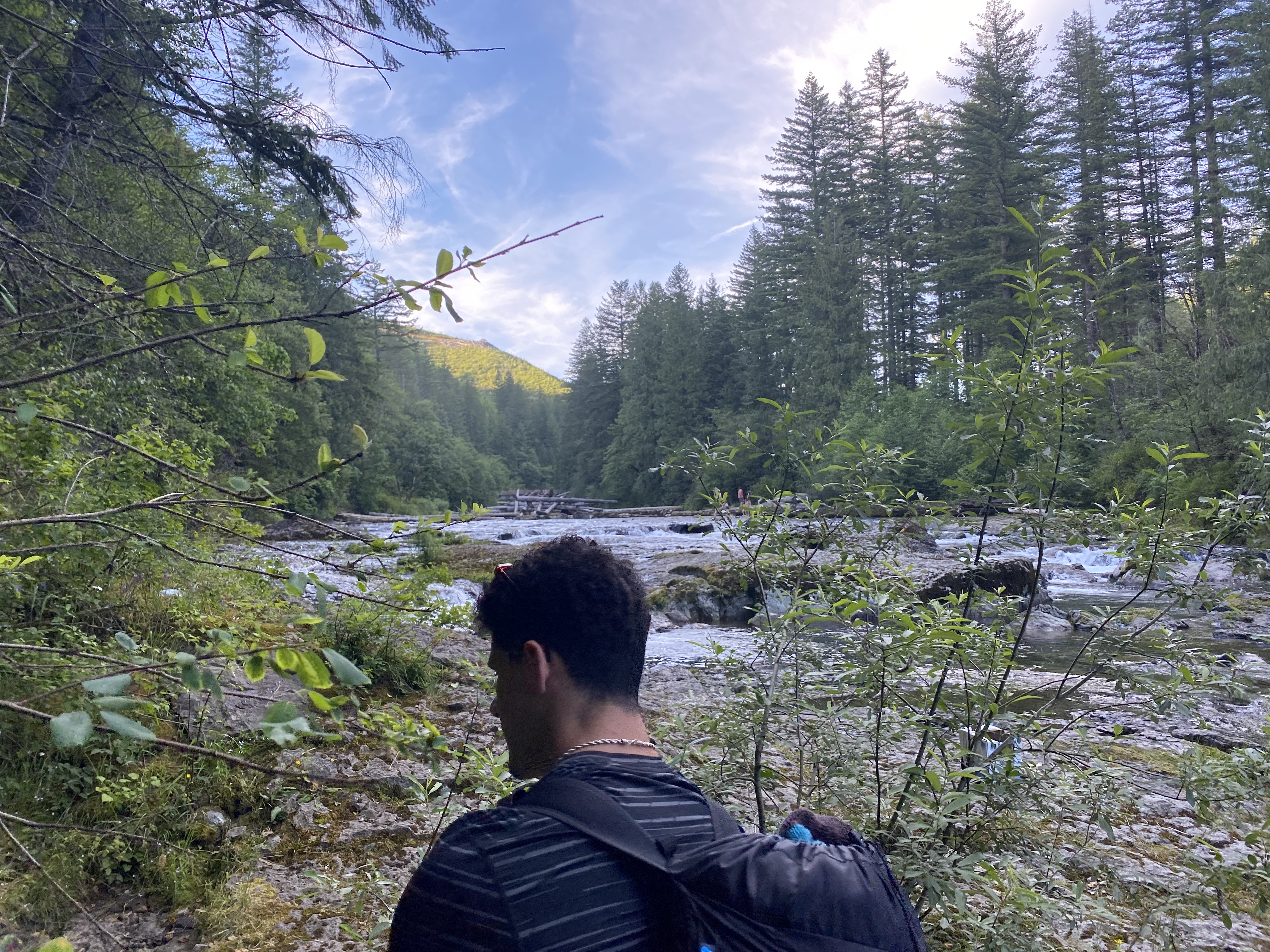 Photos: Naked Falls, Washougal, Washington