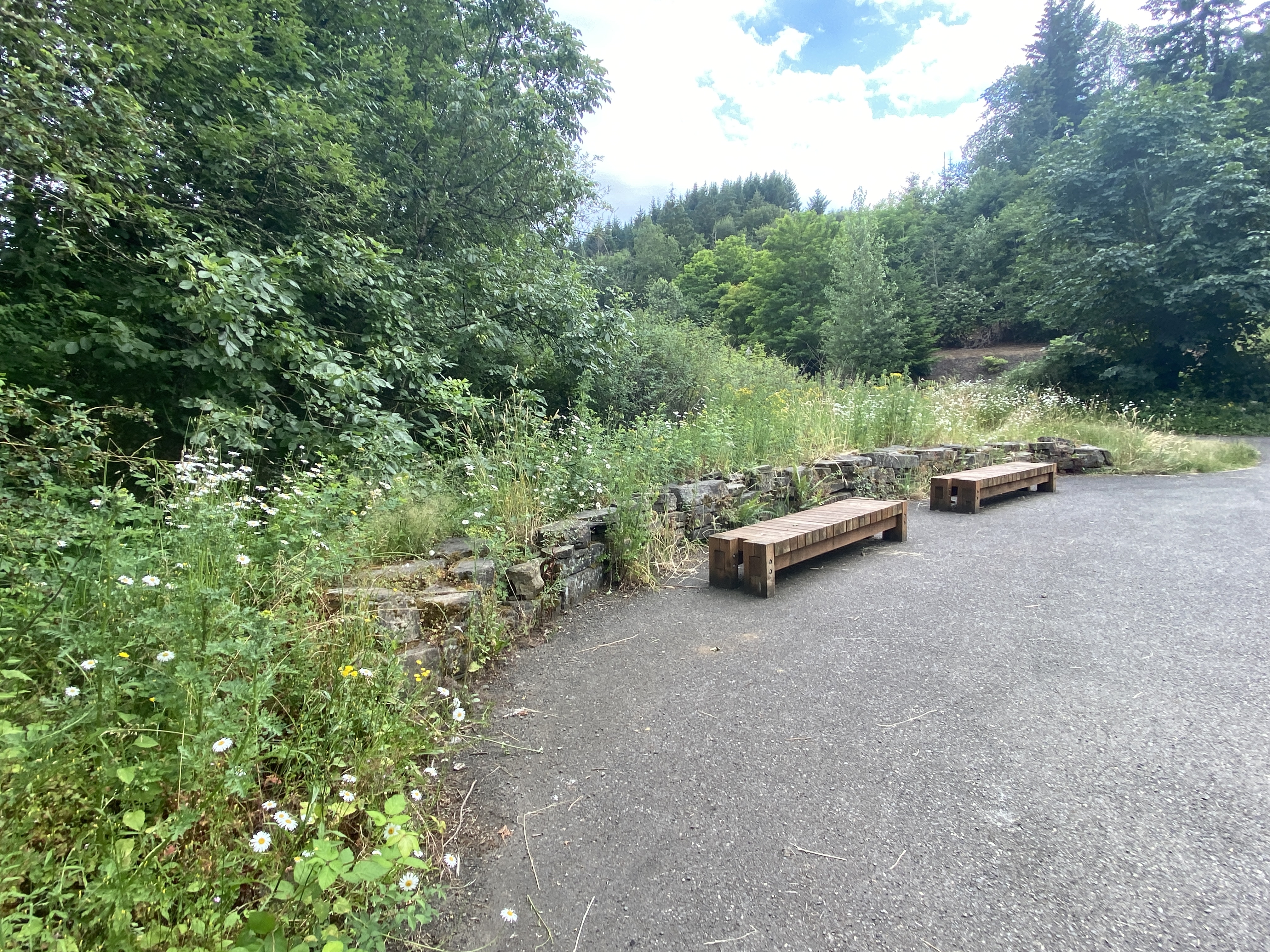 Hike Lacamas Heritage Trail