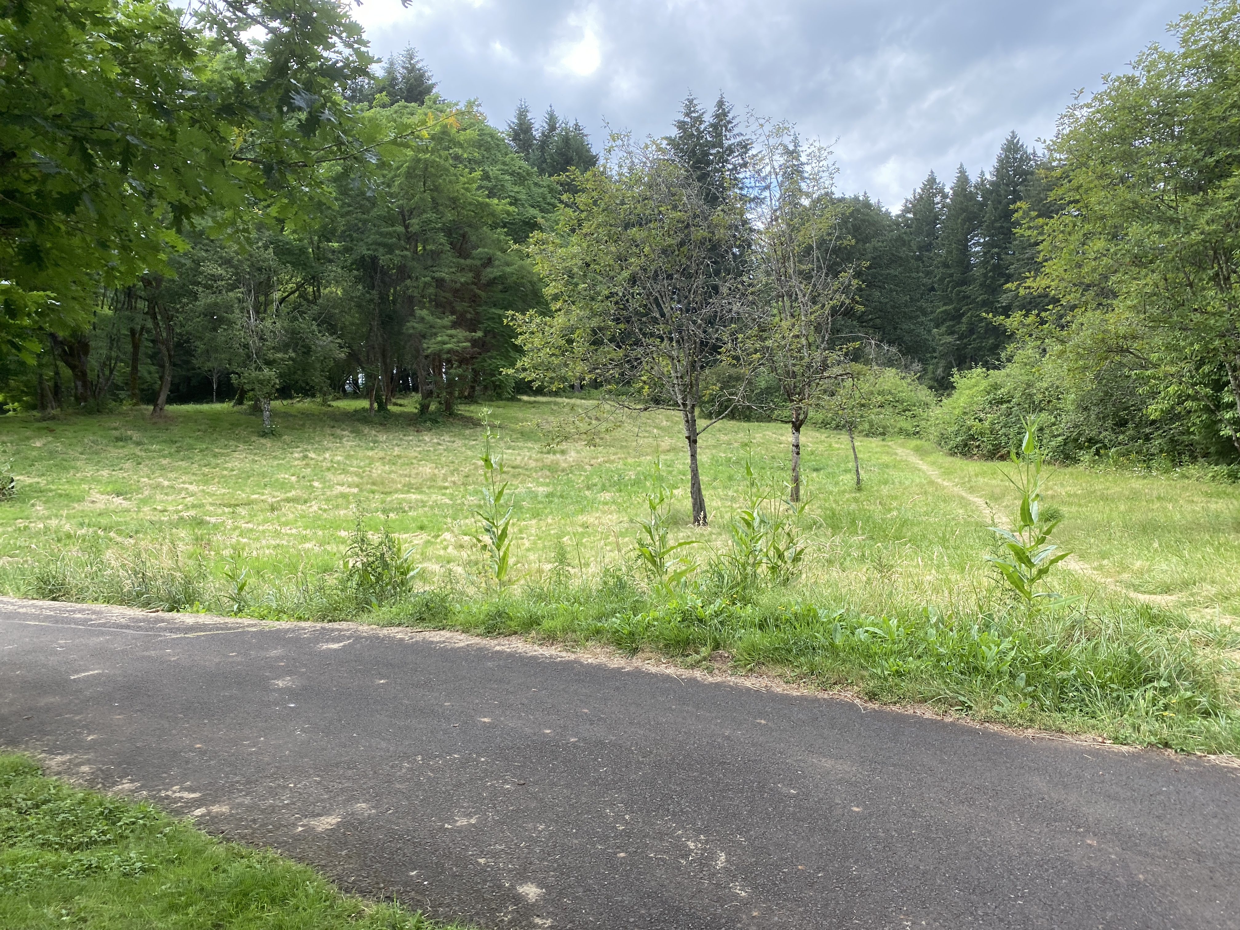 Hike Lacamas Heritage Trail