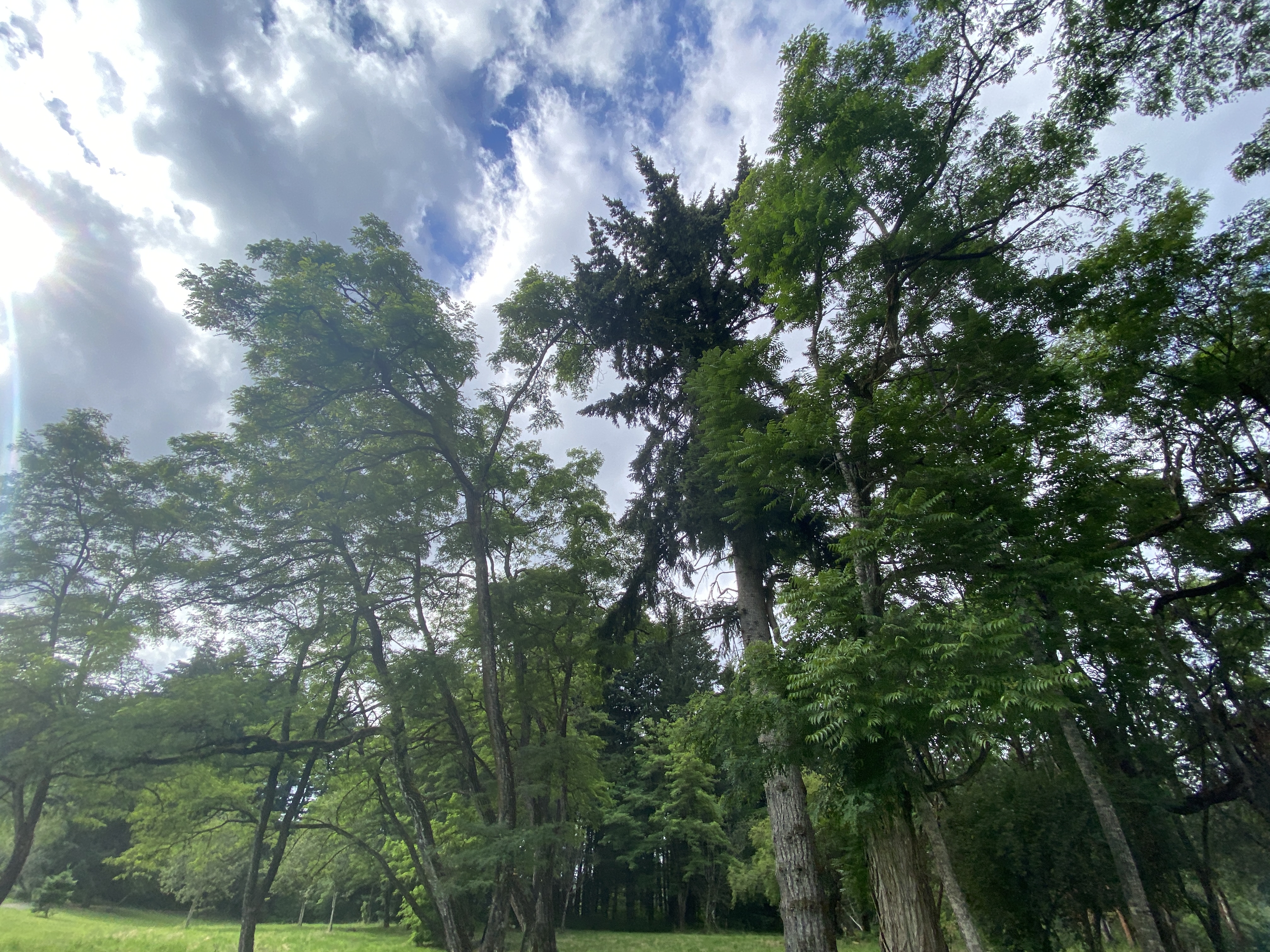 Hike Lacamas Heritage Trail