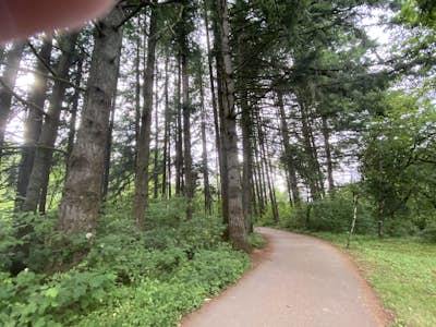 Hike Lacamas Heritage Trail