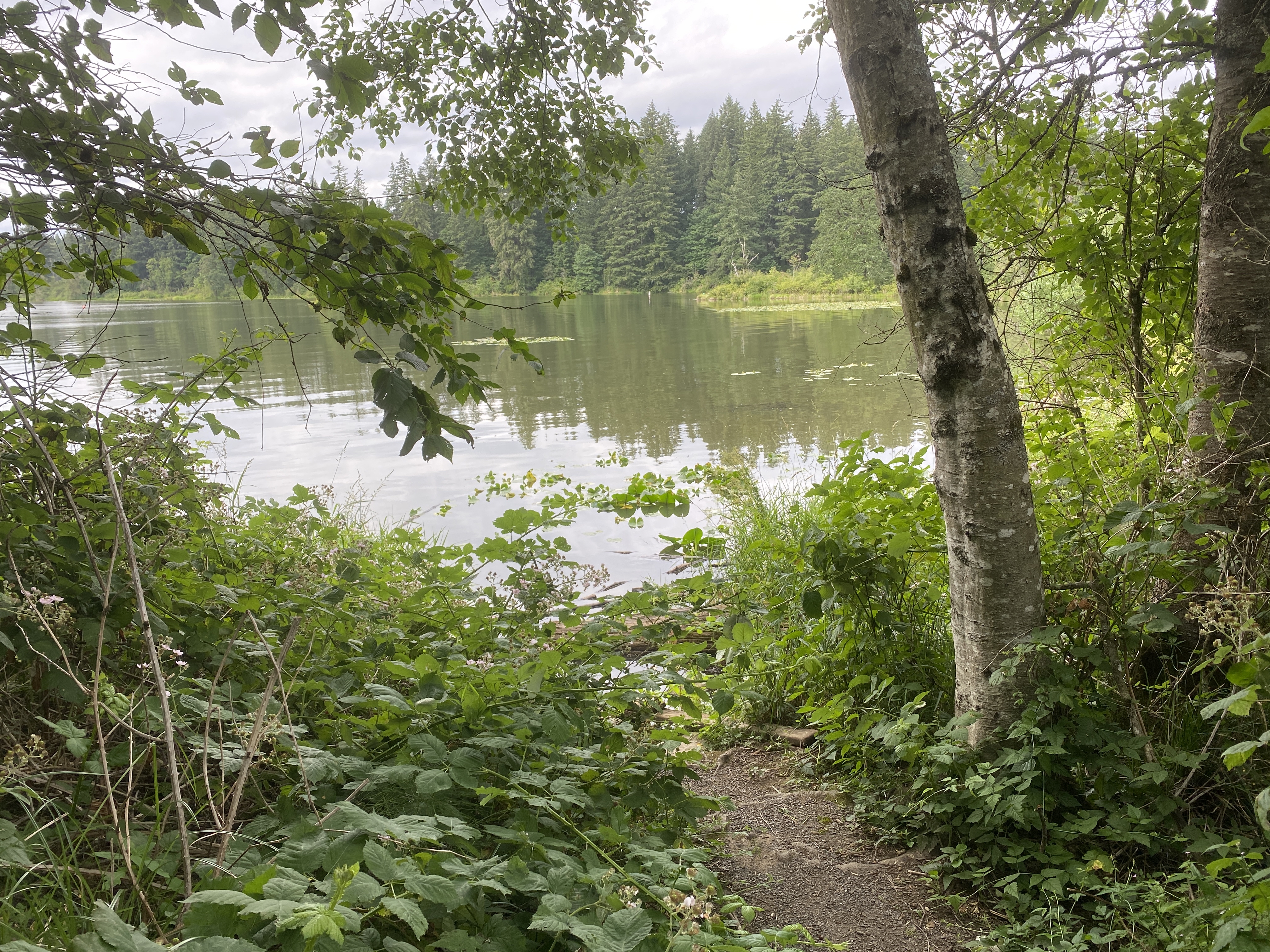 Hike Lacamas Heritage Trail