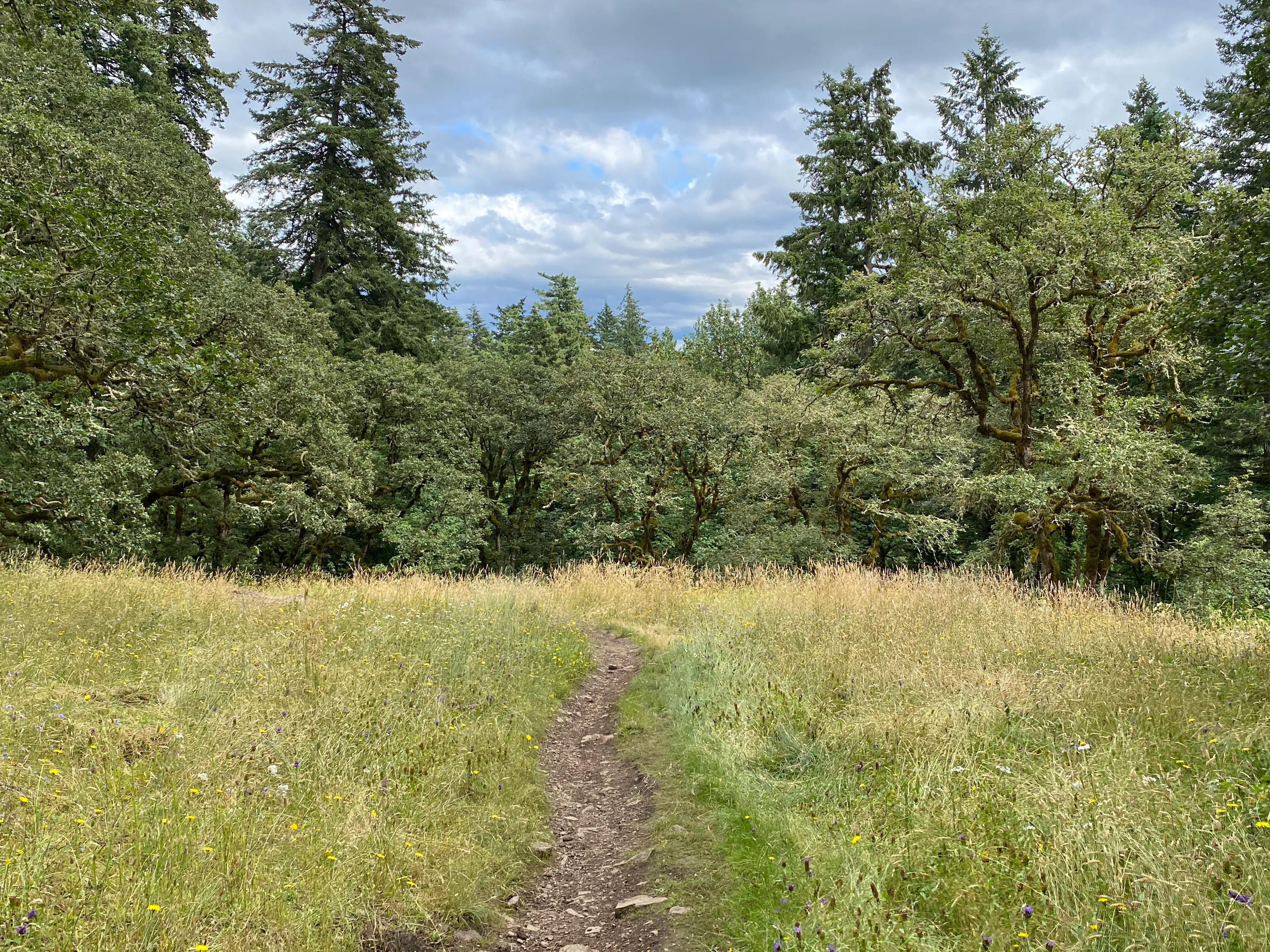 Round Lake Loop via Lacamas Creek