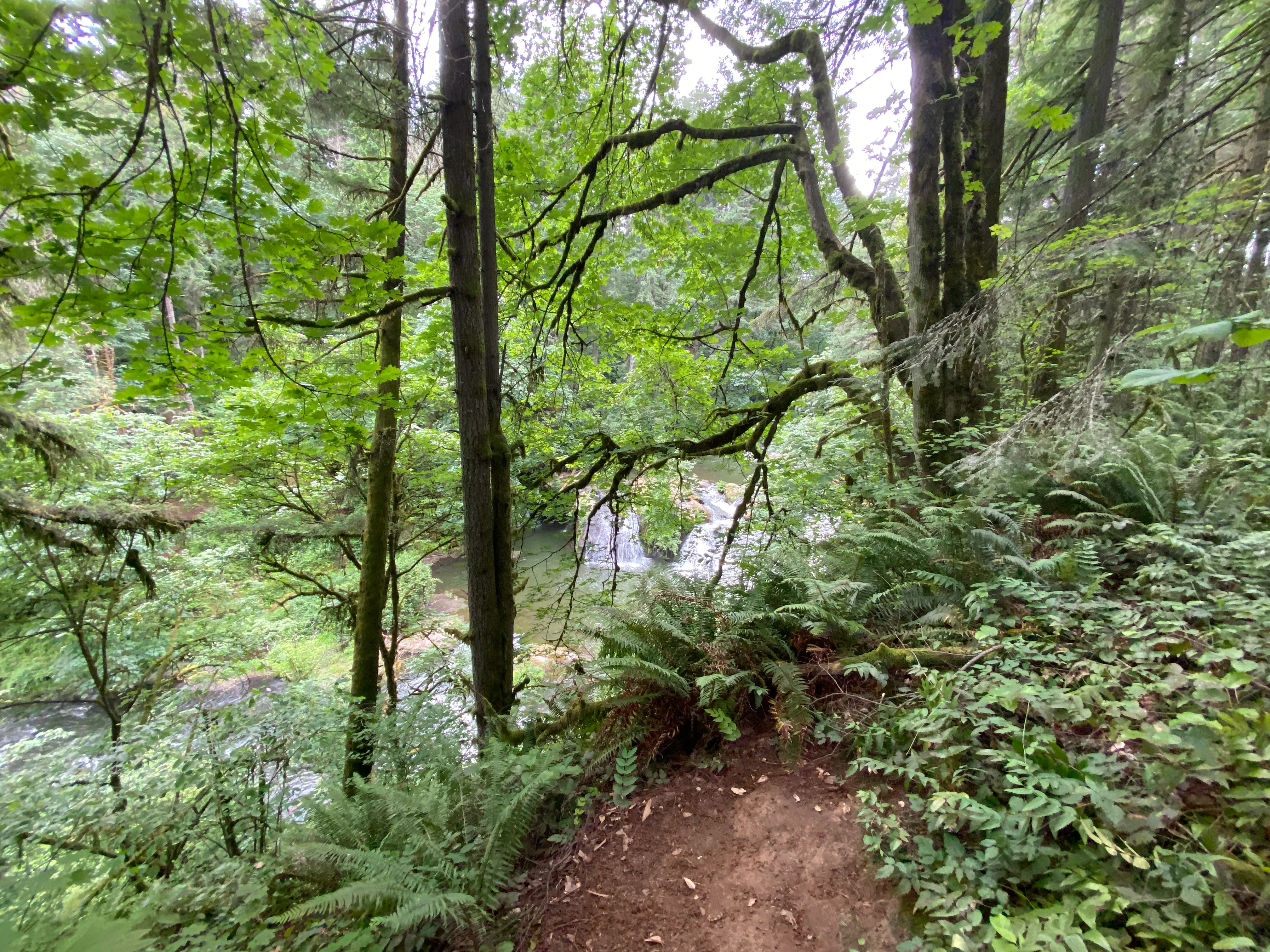 Round Lake Loop via Lacamas Creek