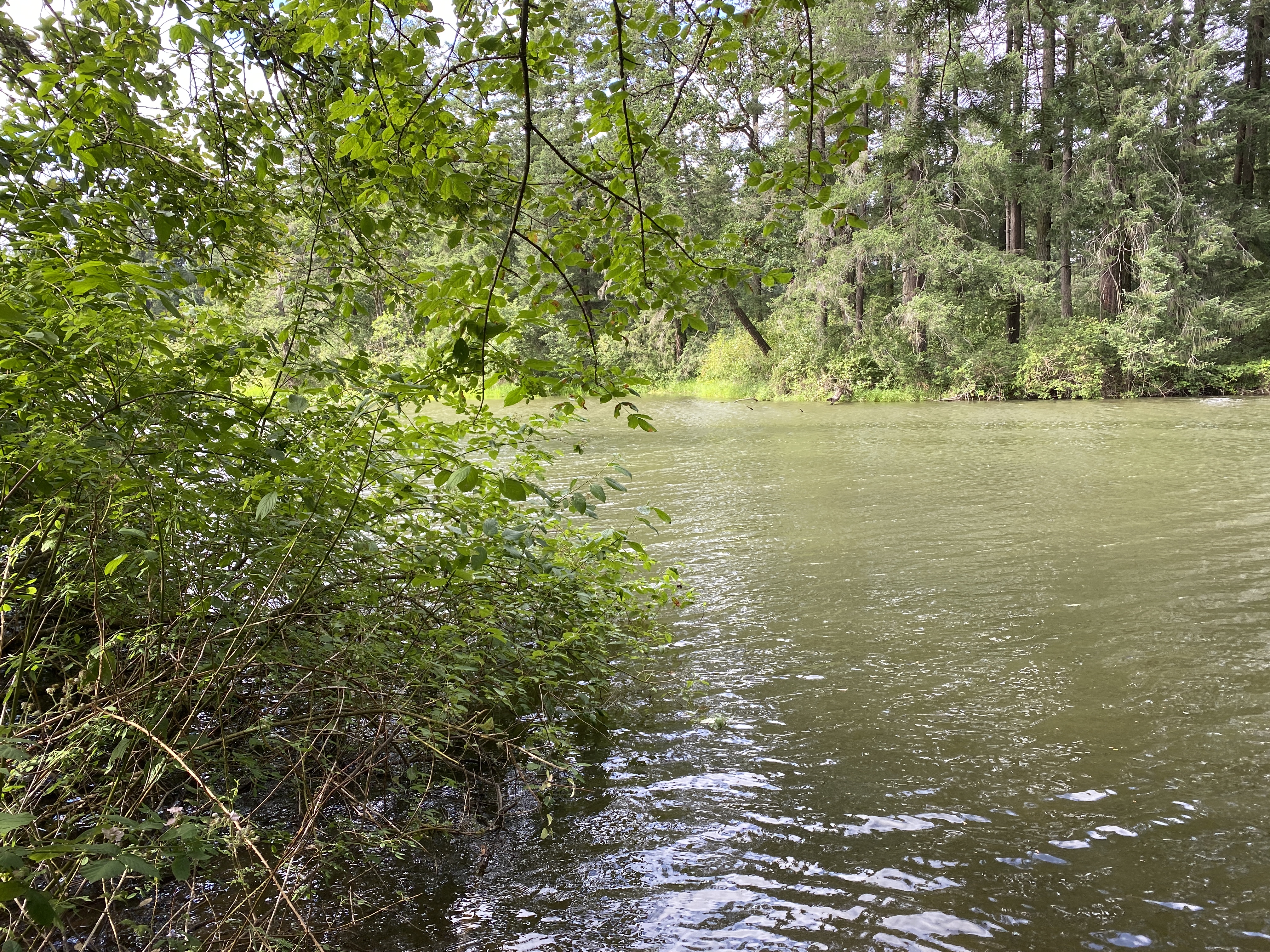 Hike Lacamas Heritage Trail