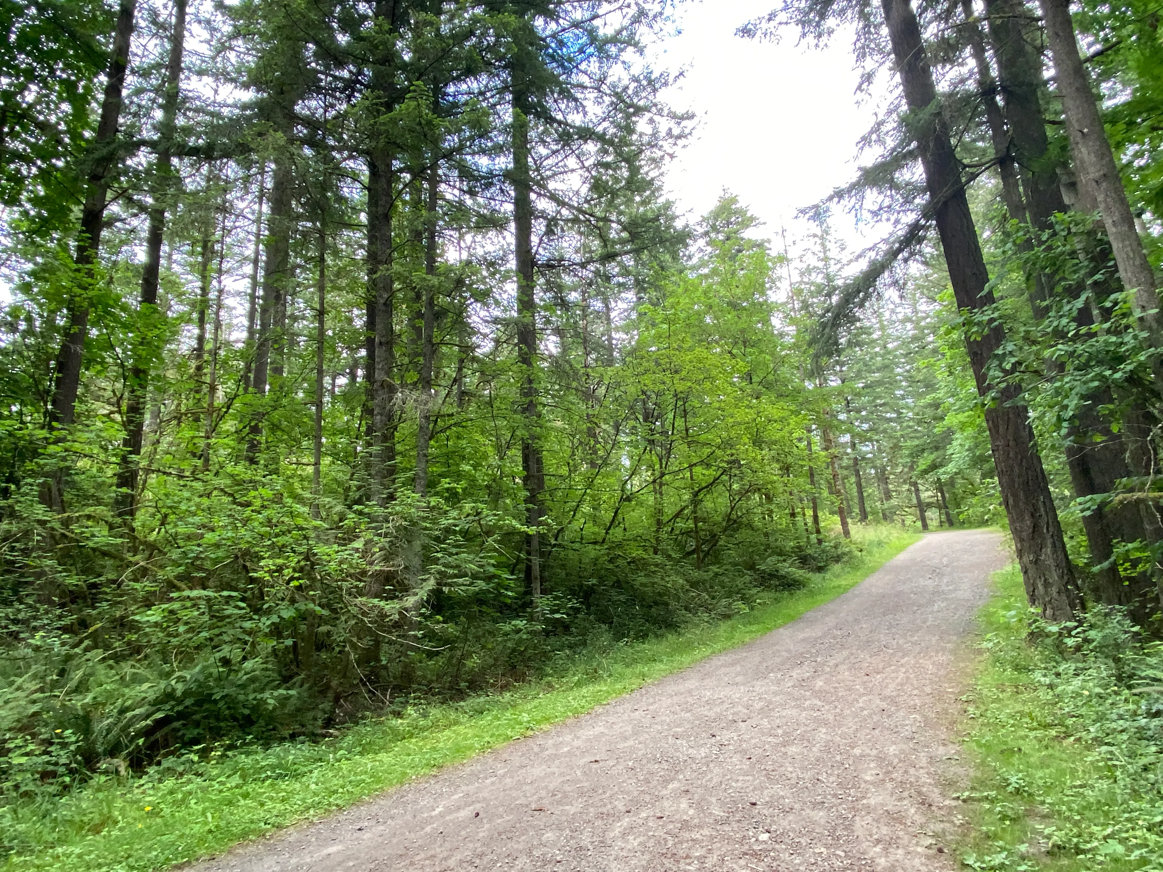 Round Lake Loop via Lacamas Creek