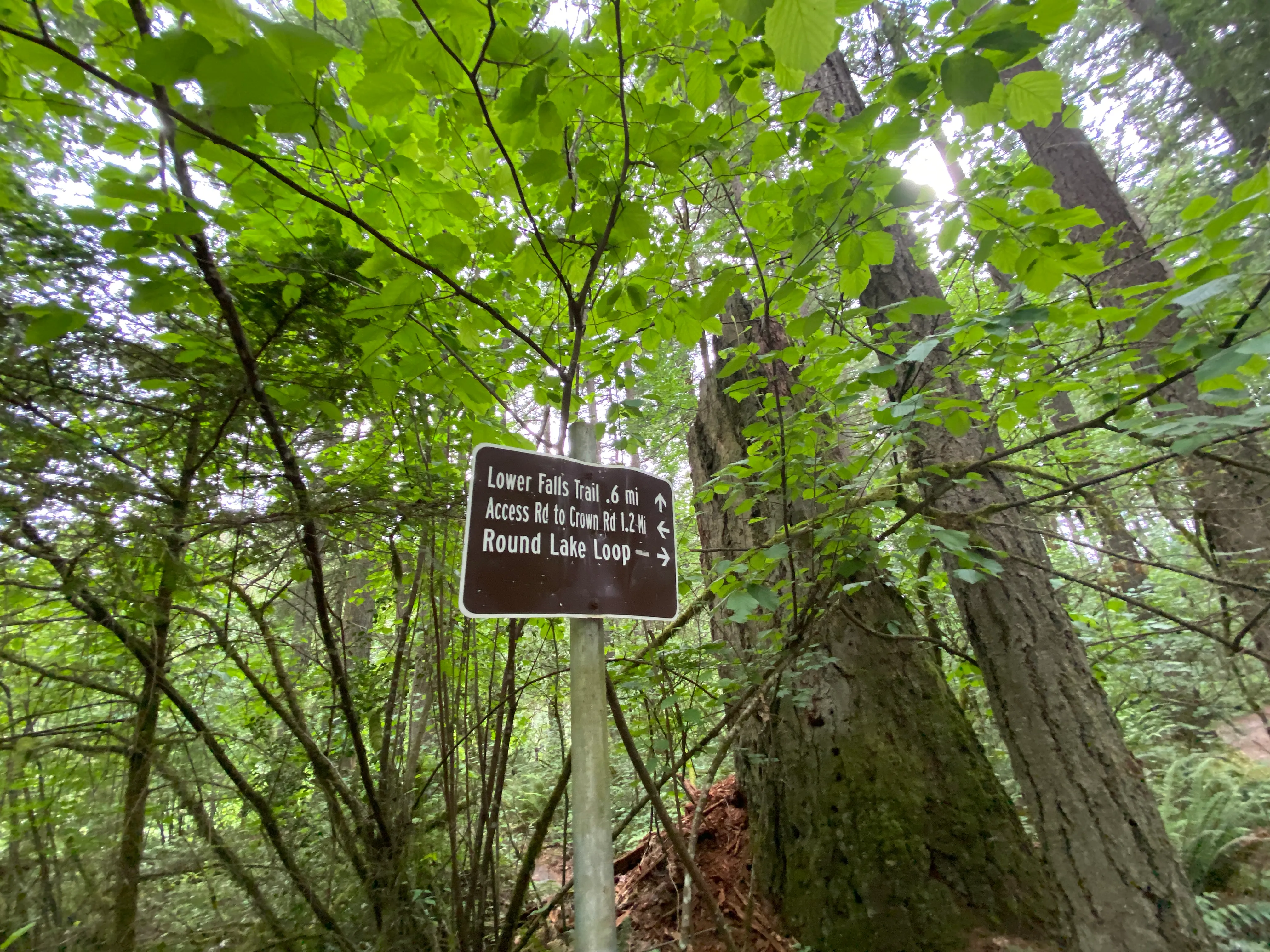 Round Lake Loop via Lacamas Creek