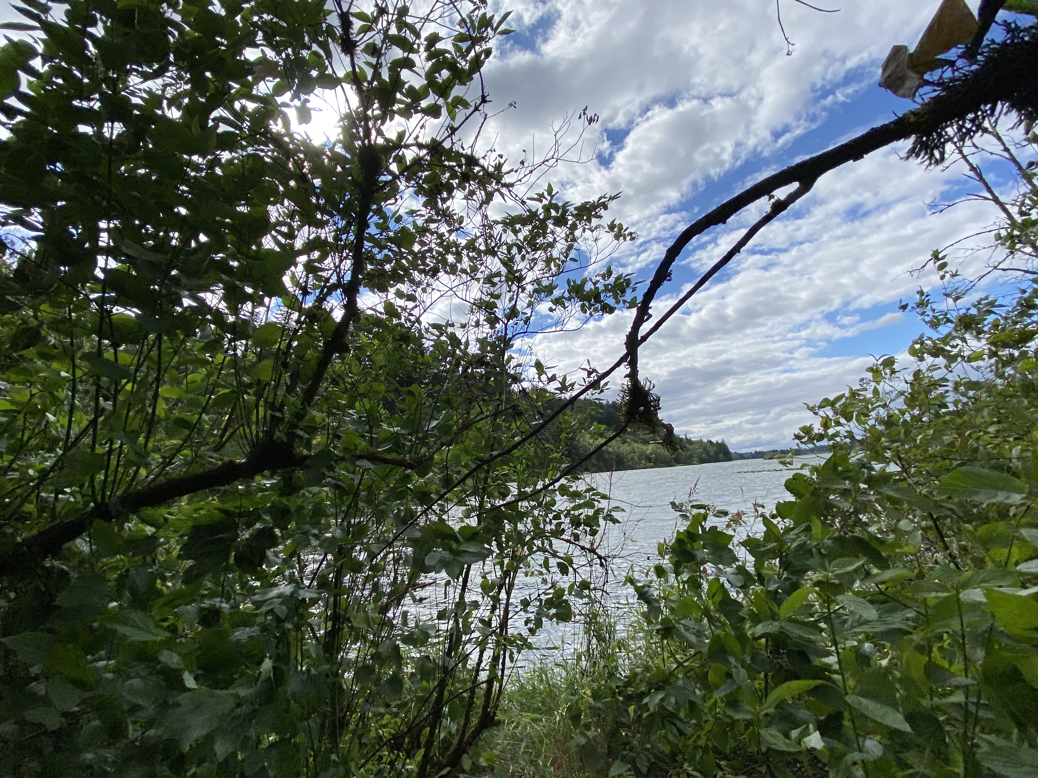 Hike Lacamas Heritage Trail