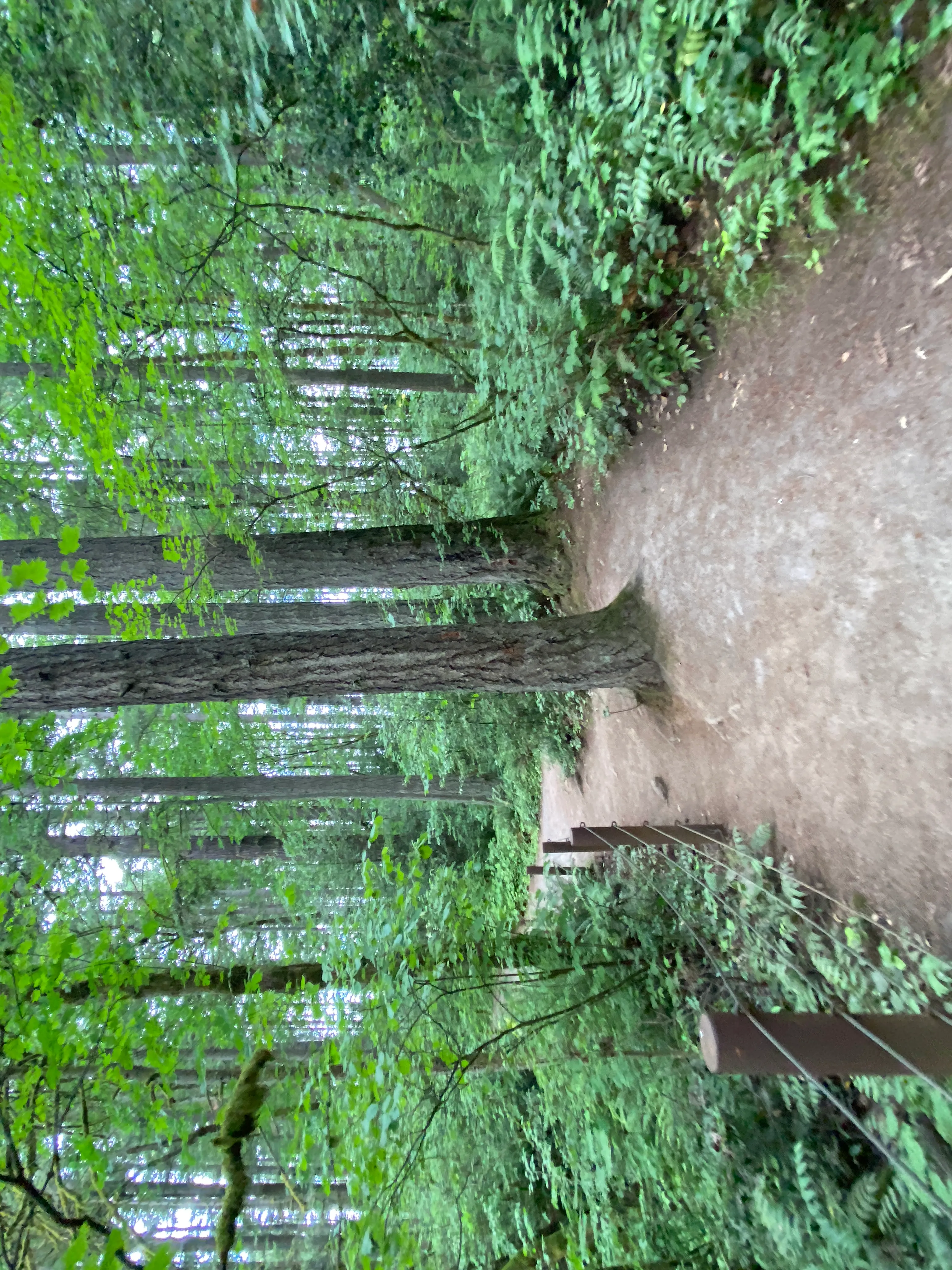 Round Lake Loop via Lacamas Creek