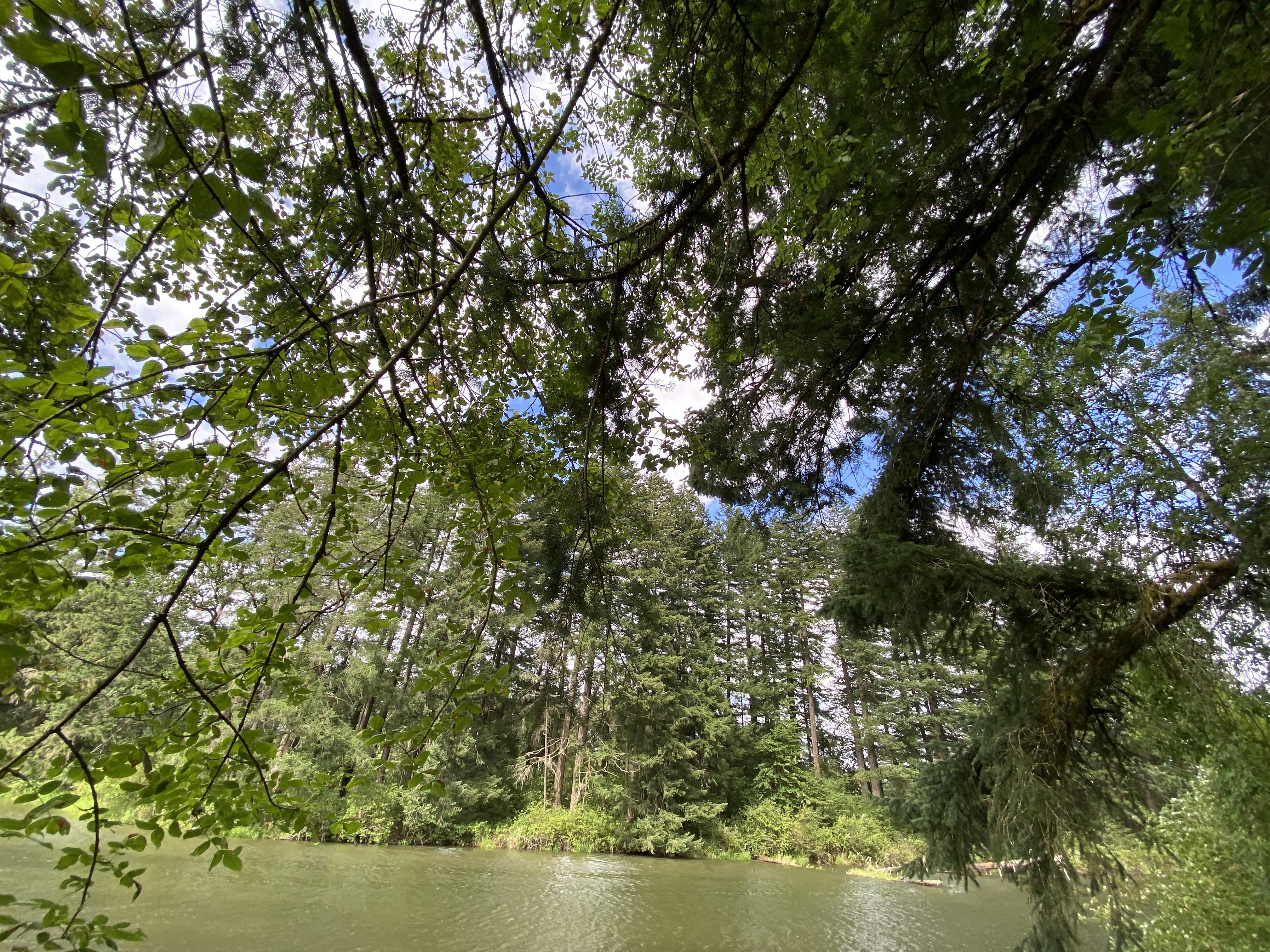 Hike Lacamas Heritage Trail