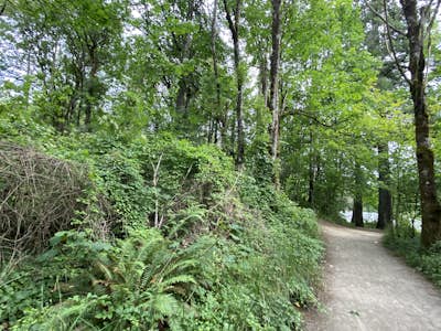 Run the Round Lake Loop at Lacamas Park