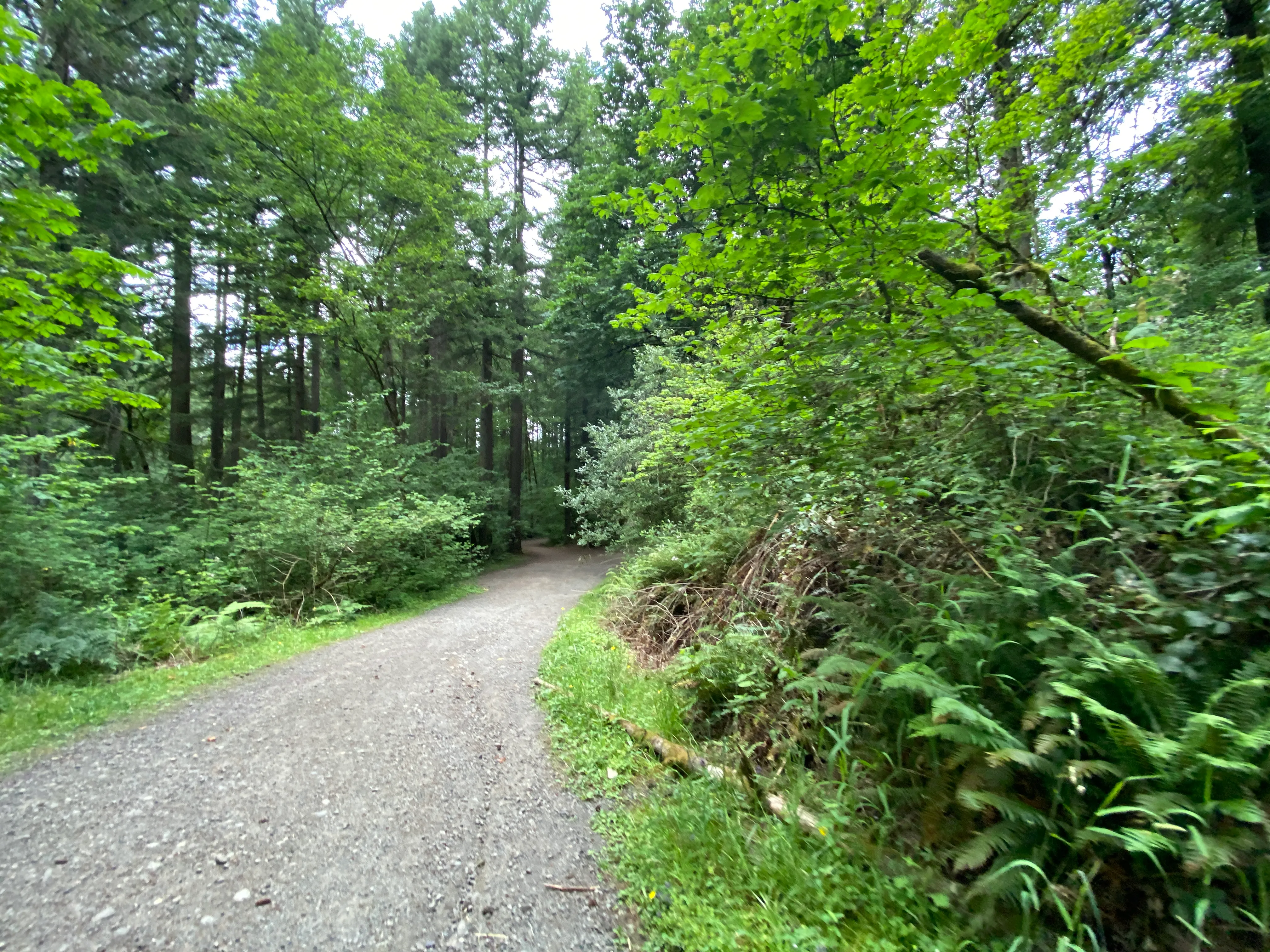 Round Lake Loop via Lacamas Creek