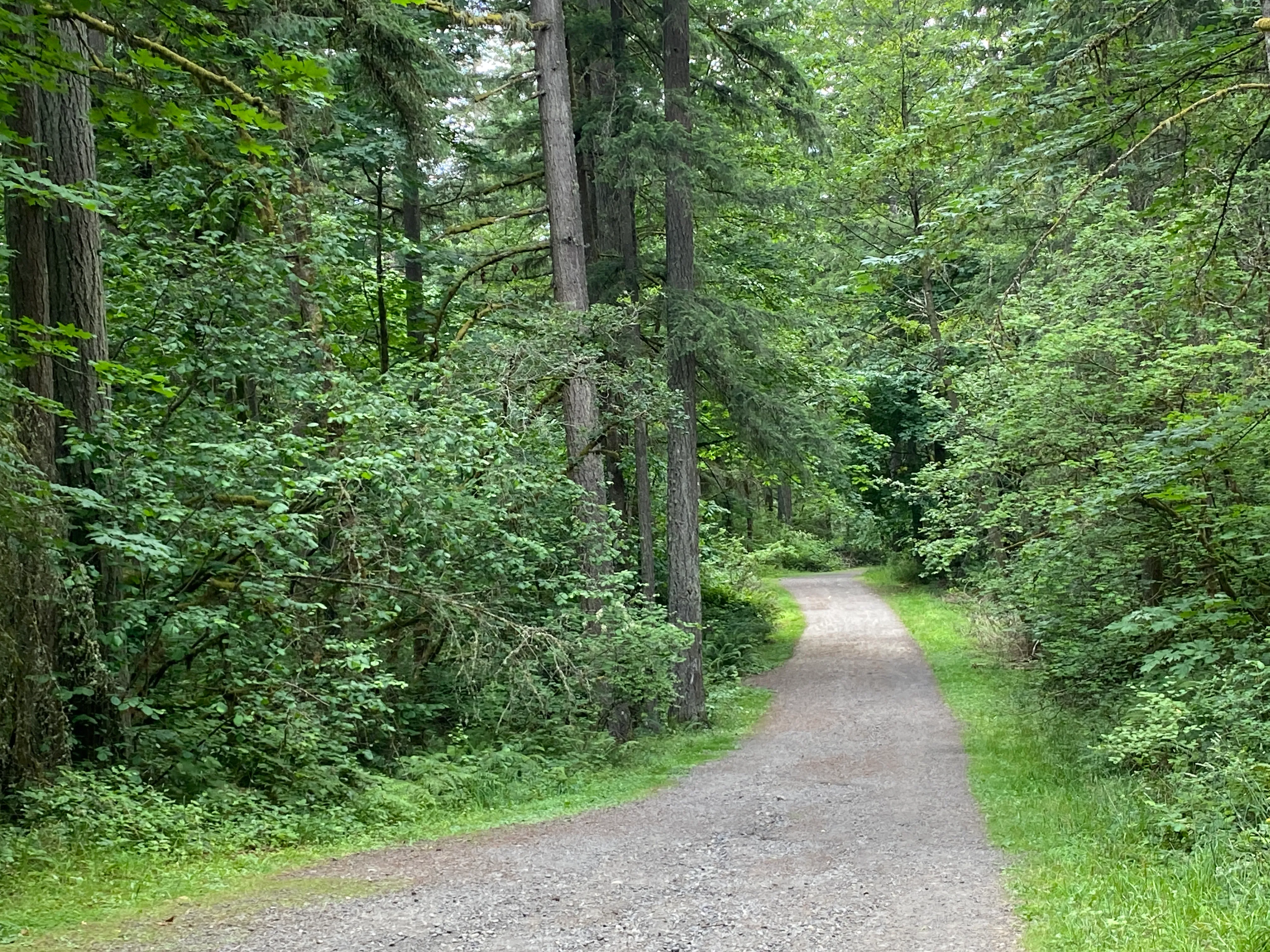Round Lake Loop via Lacamas Creek